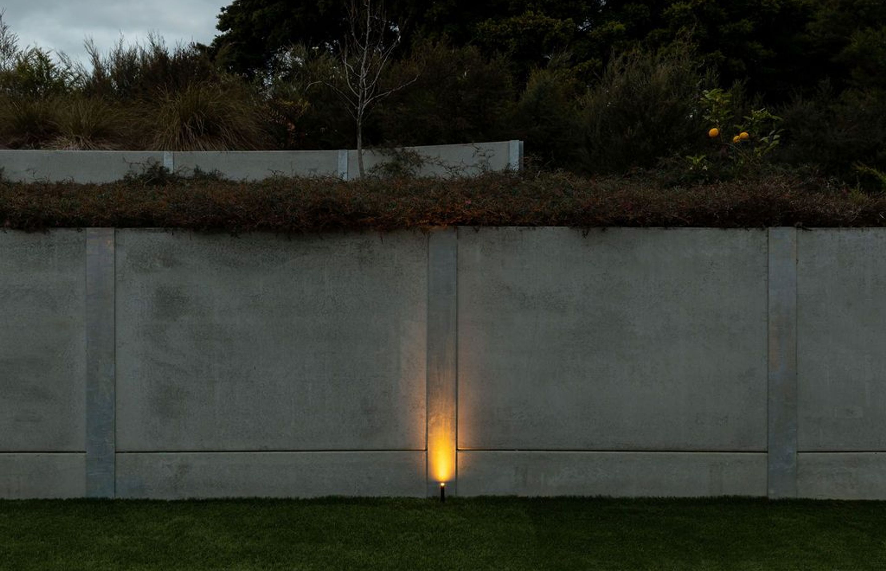 Landscape Lighting