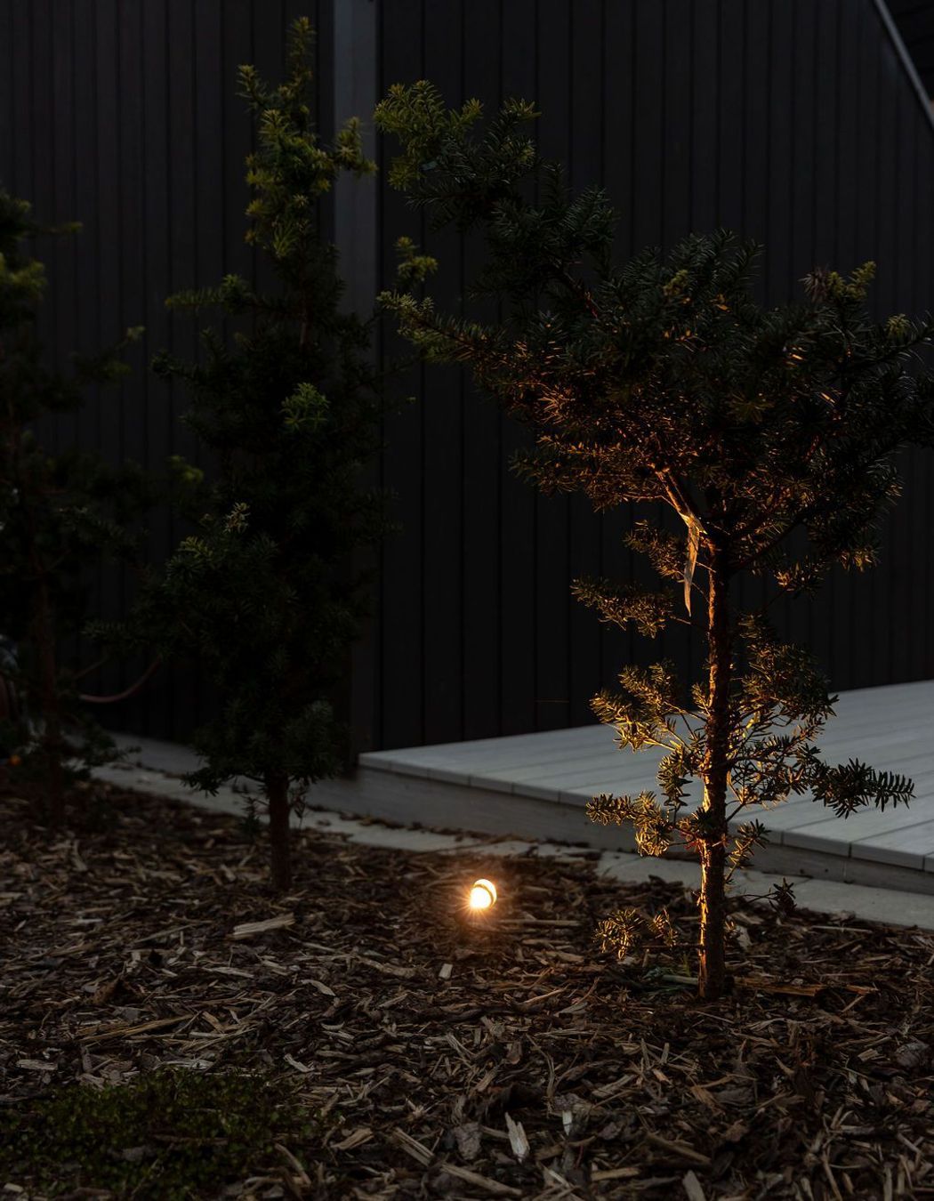 Landscape Lighting