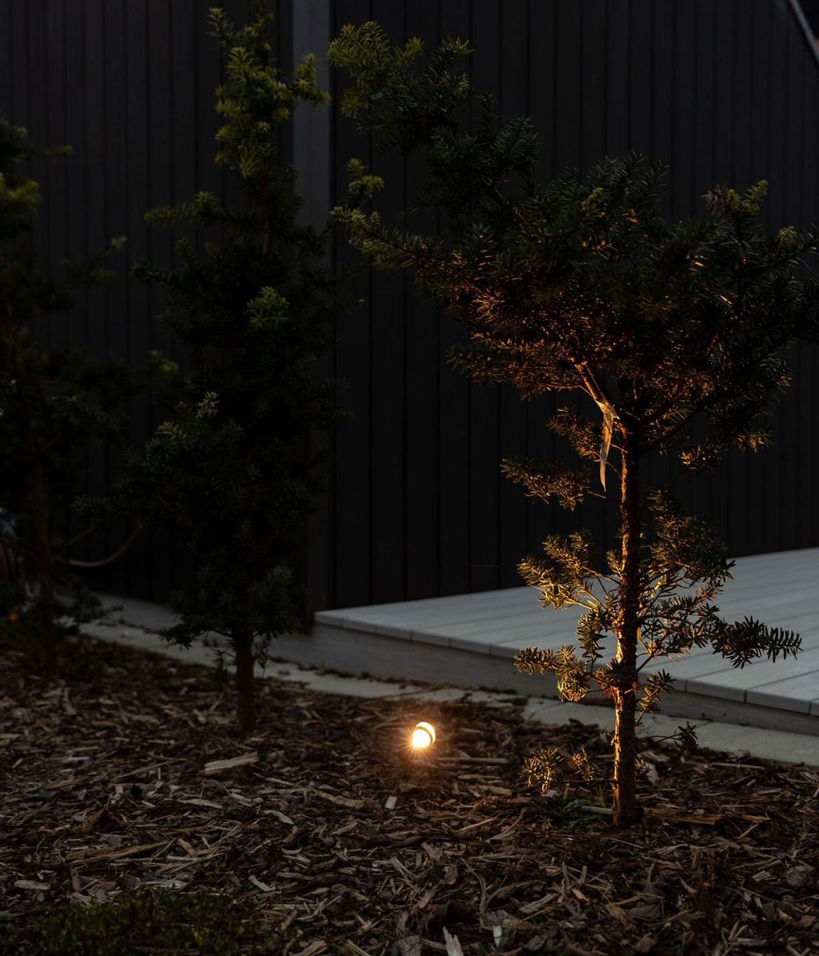 Landscape Lighting