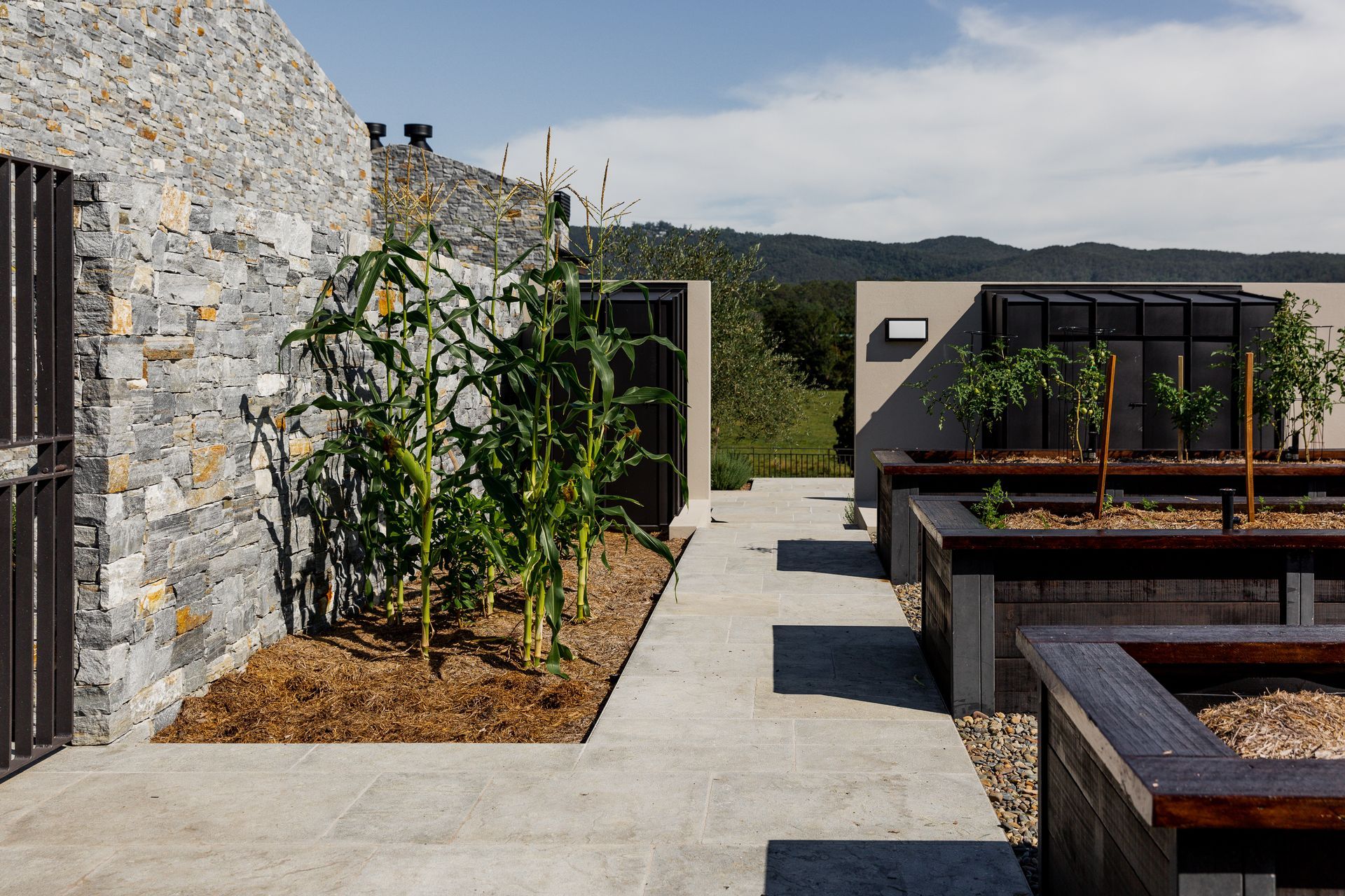 Mount View - Landscaping