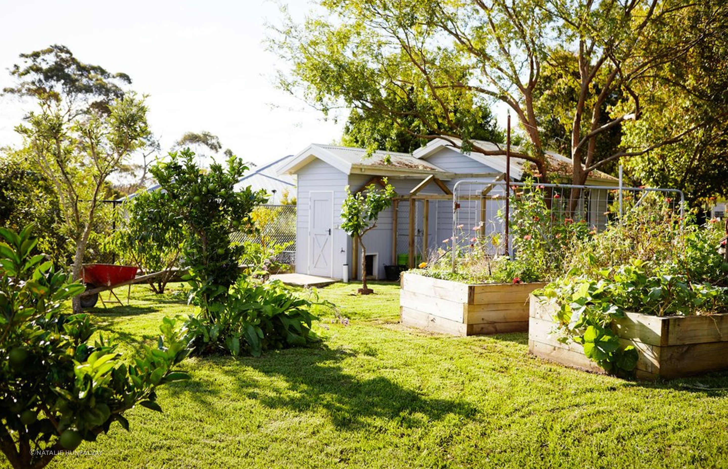 Kenthurst #2: NSW - Acreage