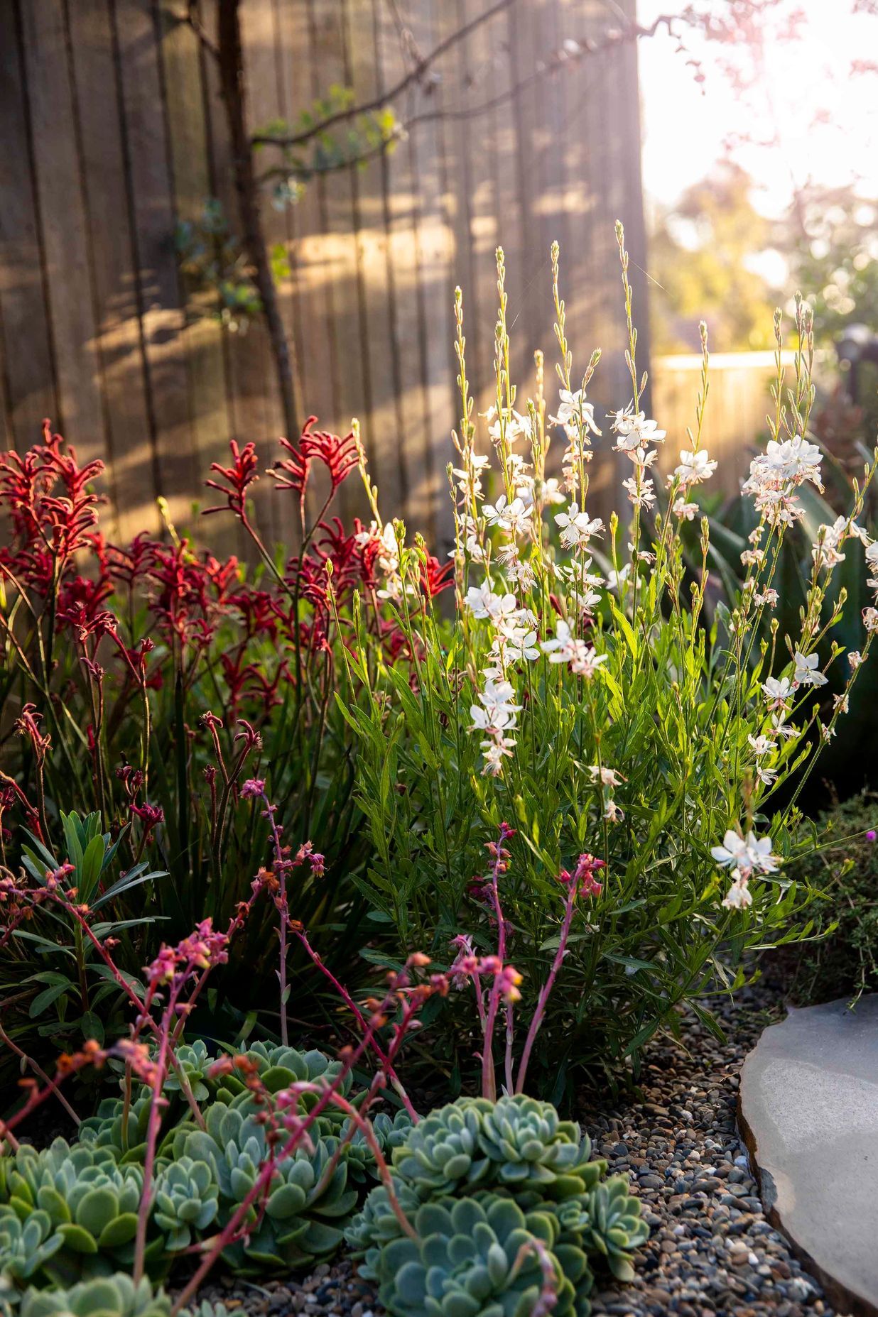 Cascade Garden