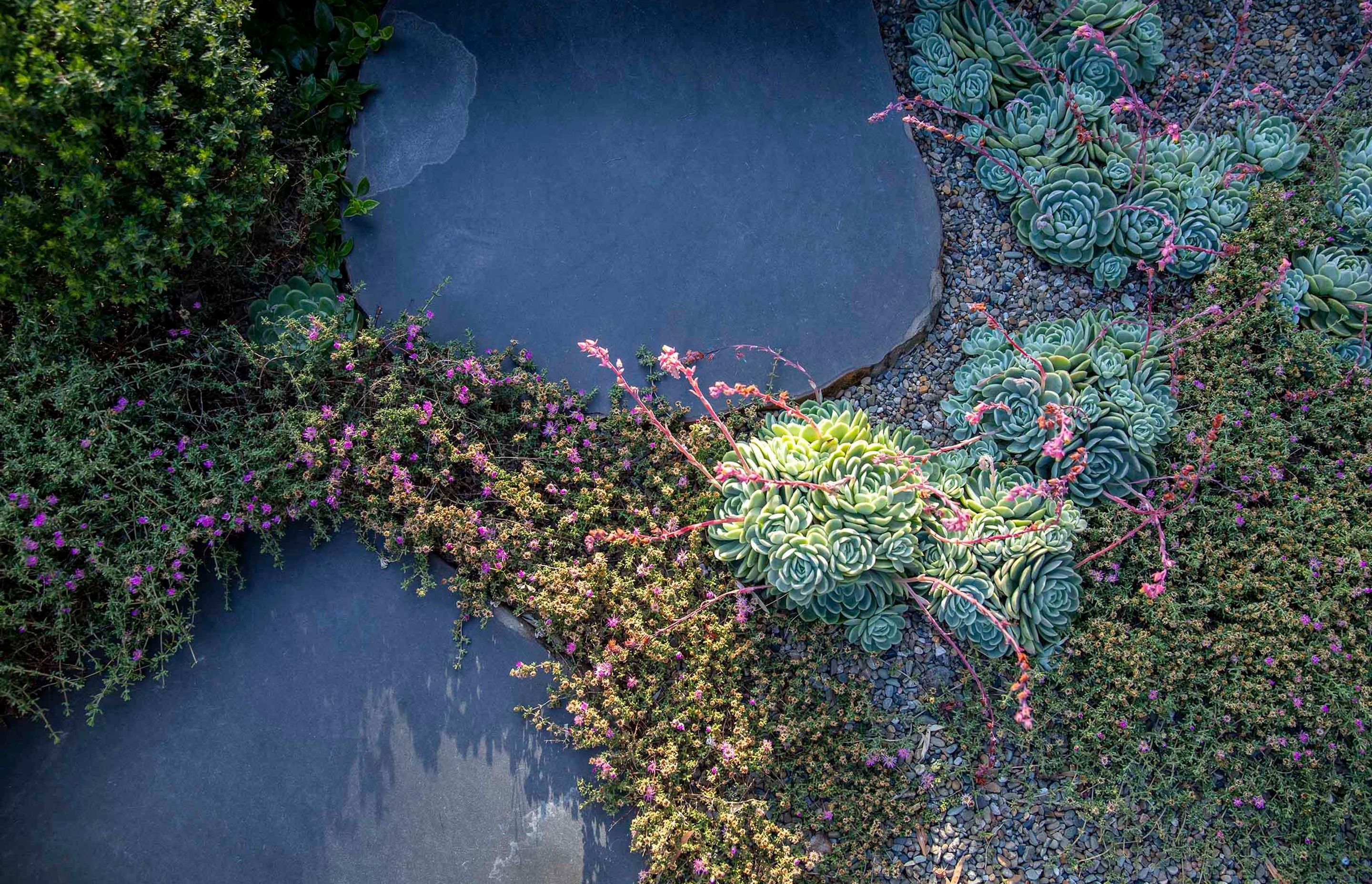 Cascade Garden