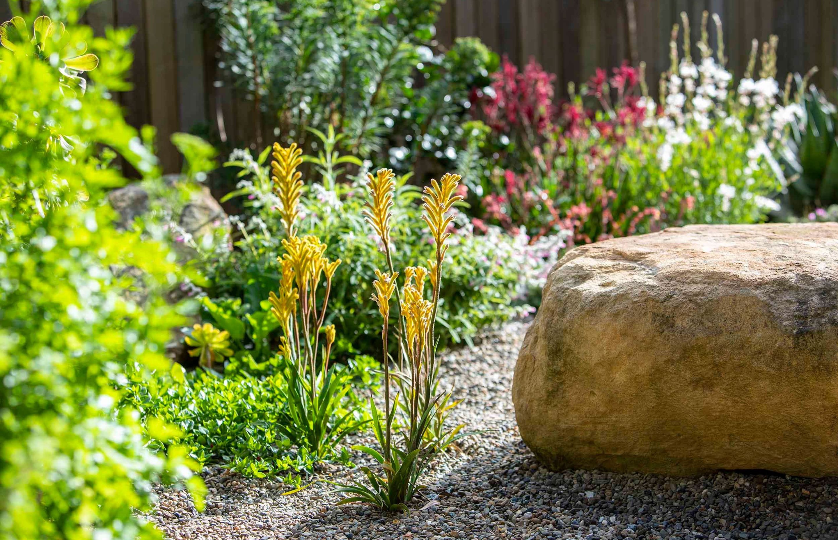 Cascade Garden