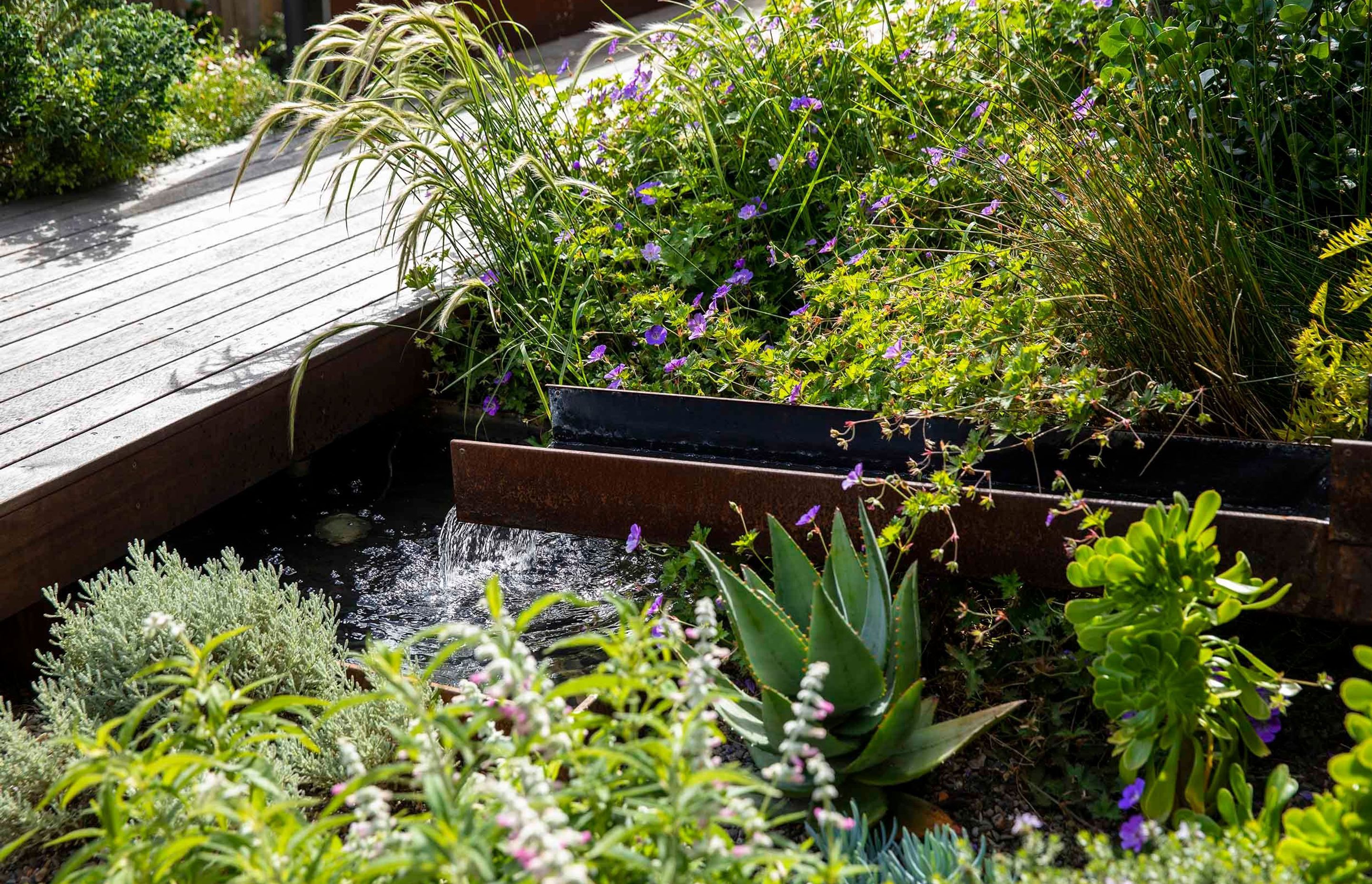 Cascade Garden