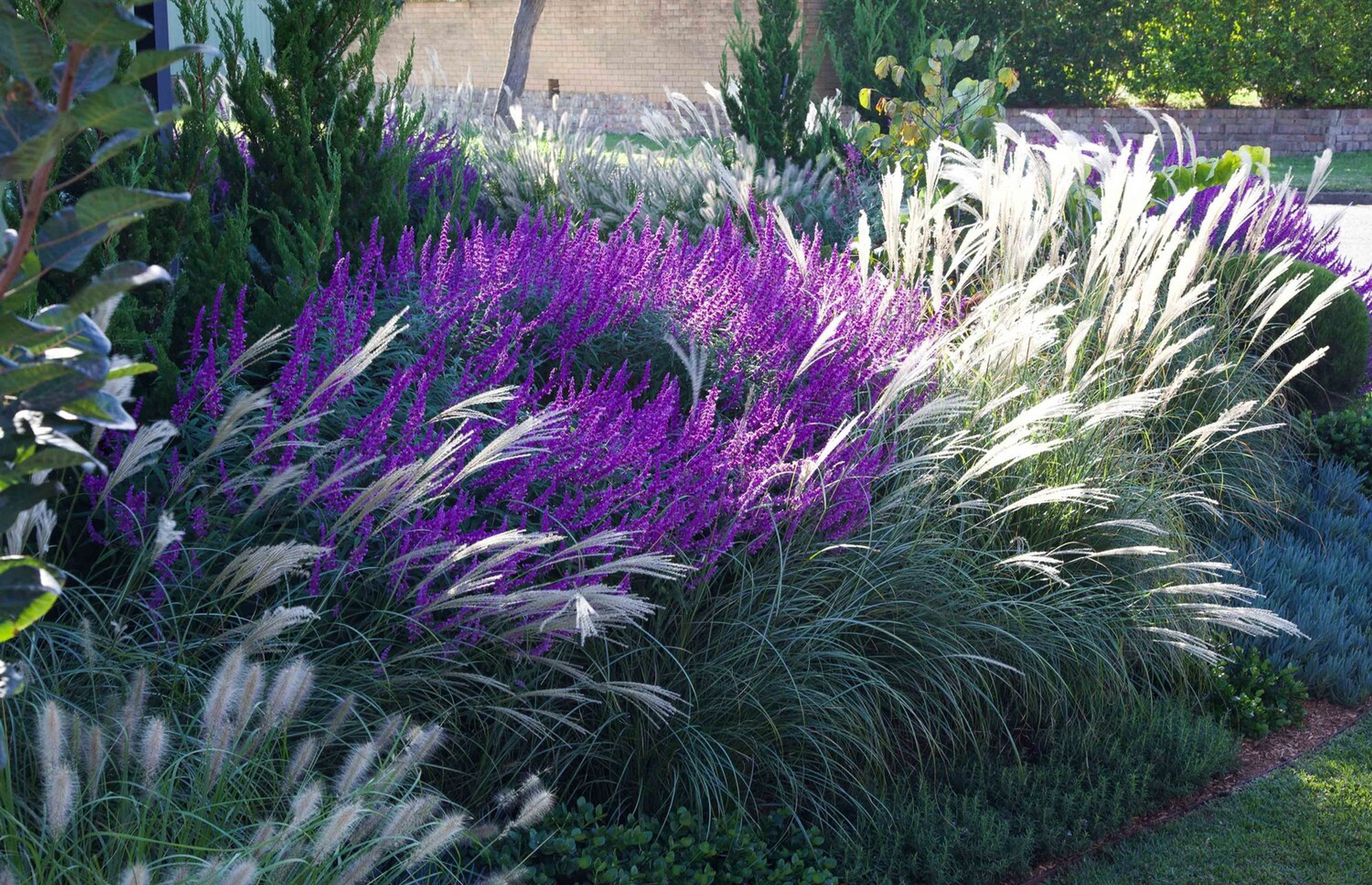 Ballerina Garden