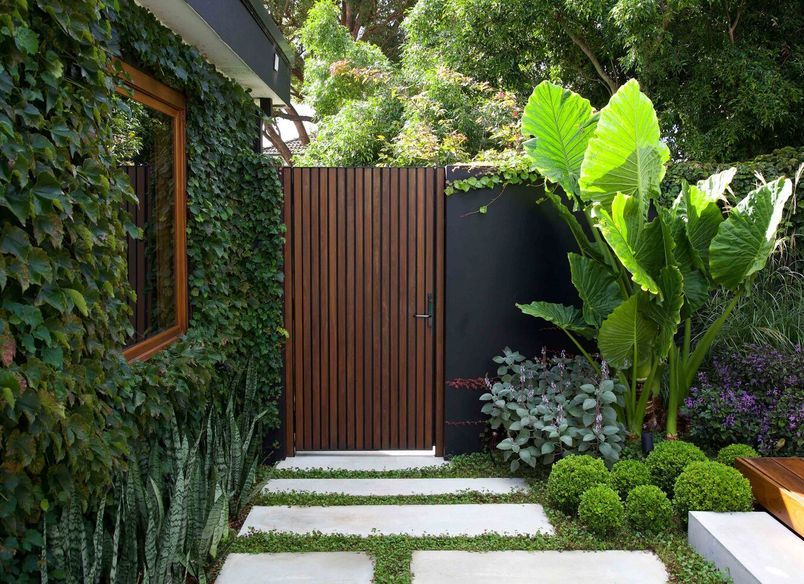 Ballerina Garden