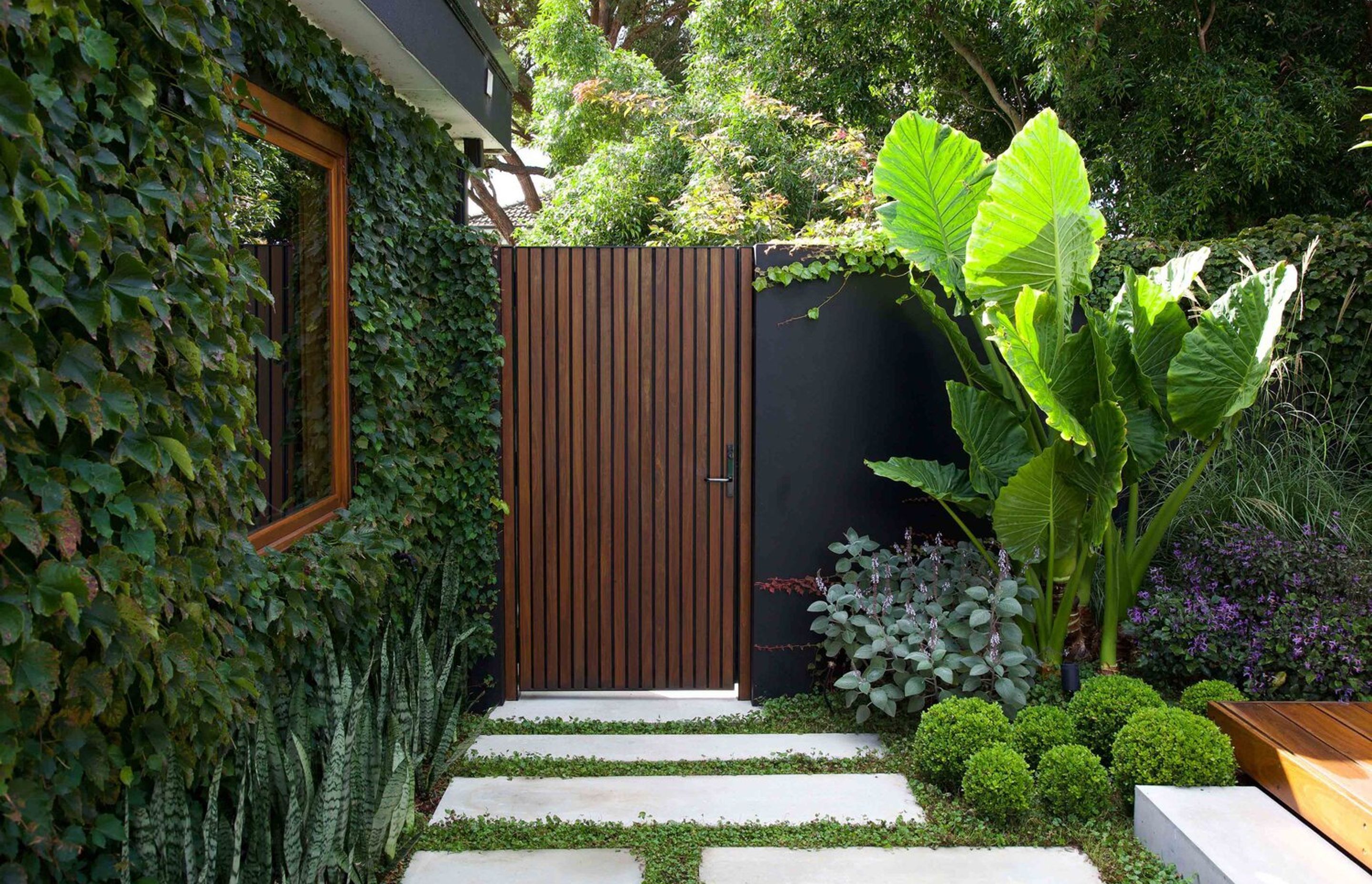 Ballerina Garden