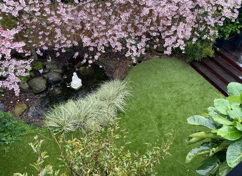 Urban Turf