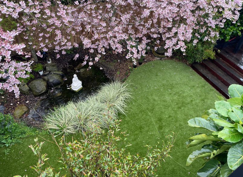 Urban Turf