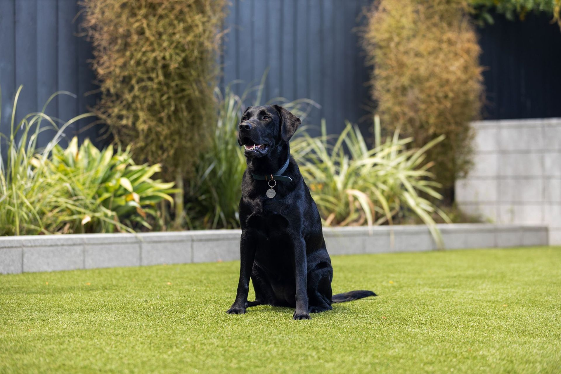 GreyLynn Residence
