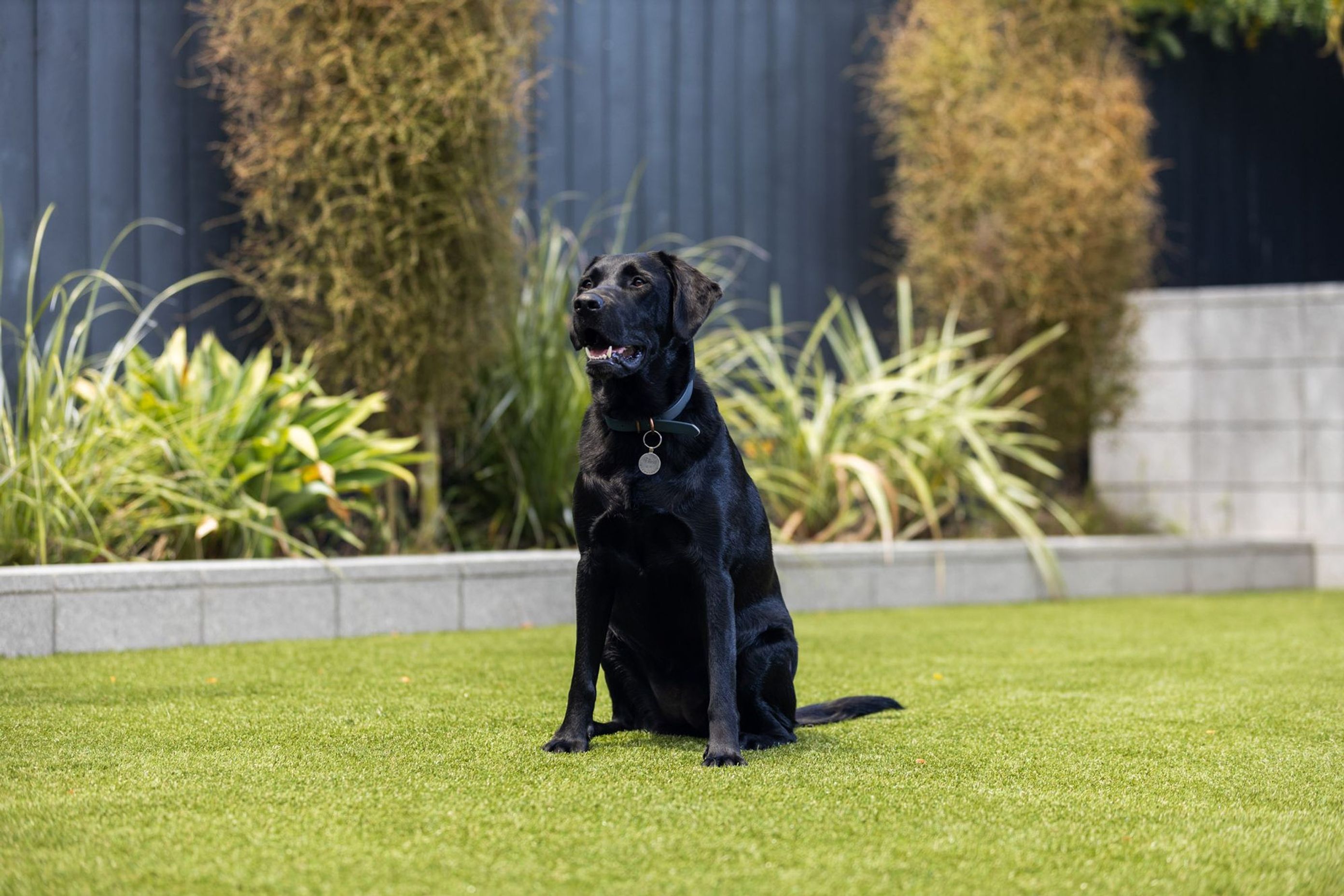 GreyLynn Residence