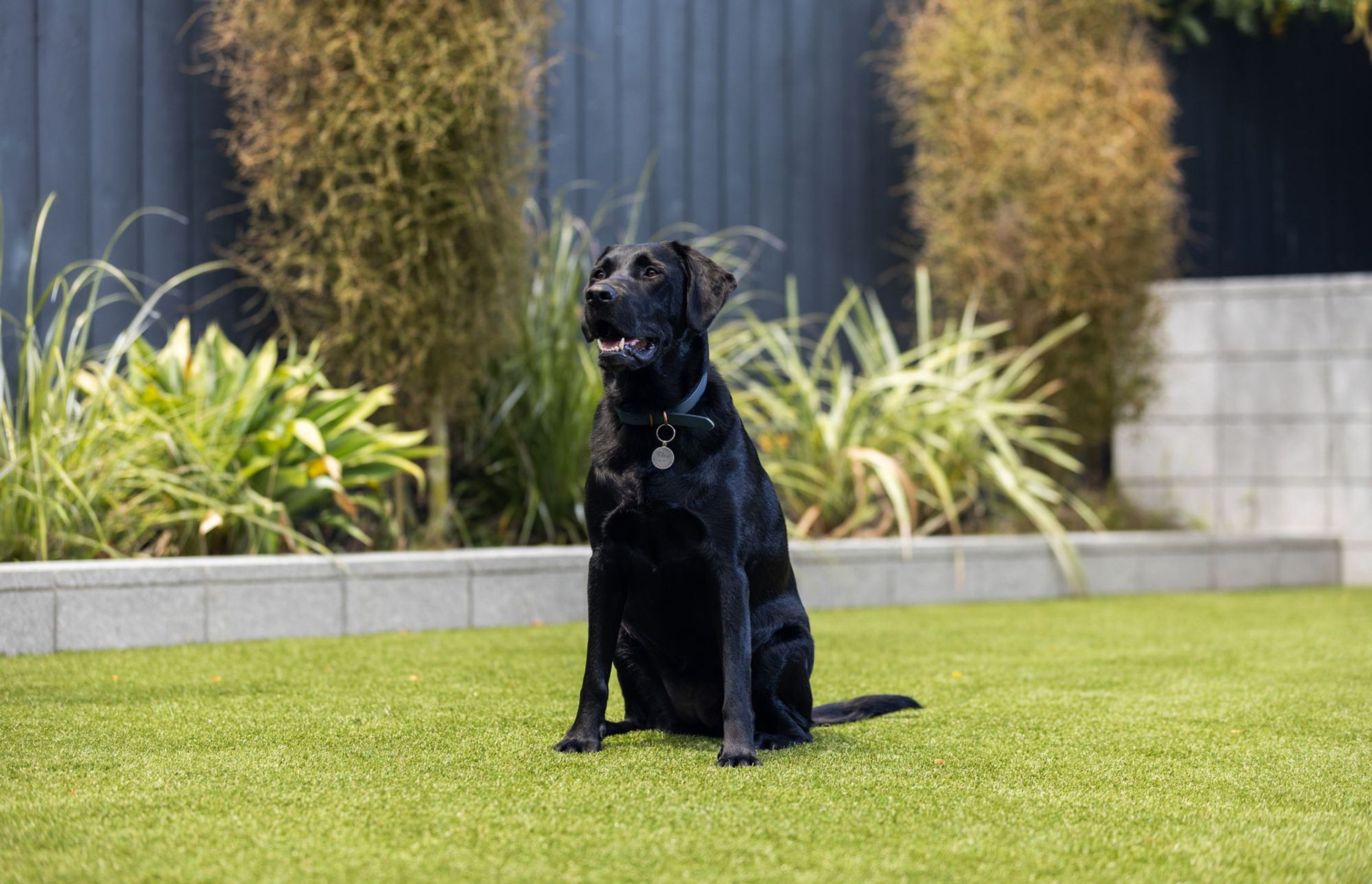 GreyLynn Residence