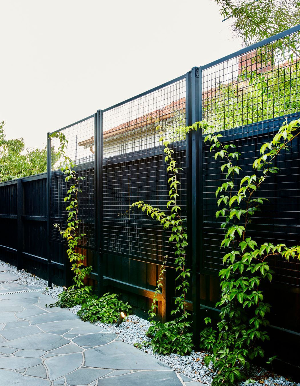 Main Street, Northcote