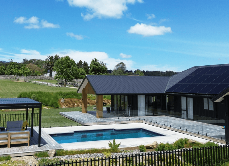 Kahikatea