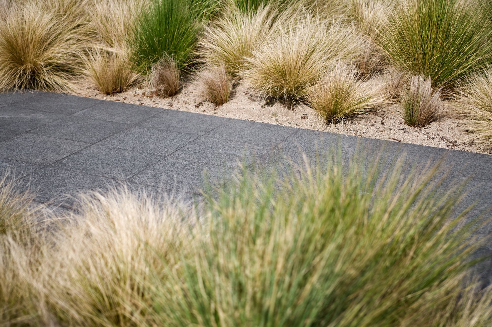 Planting Details