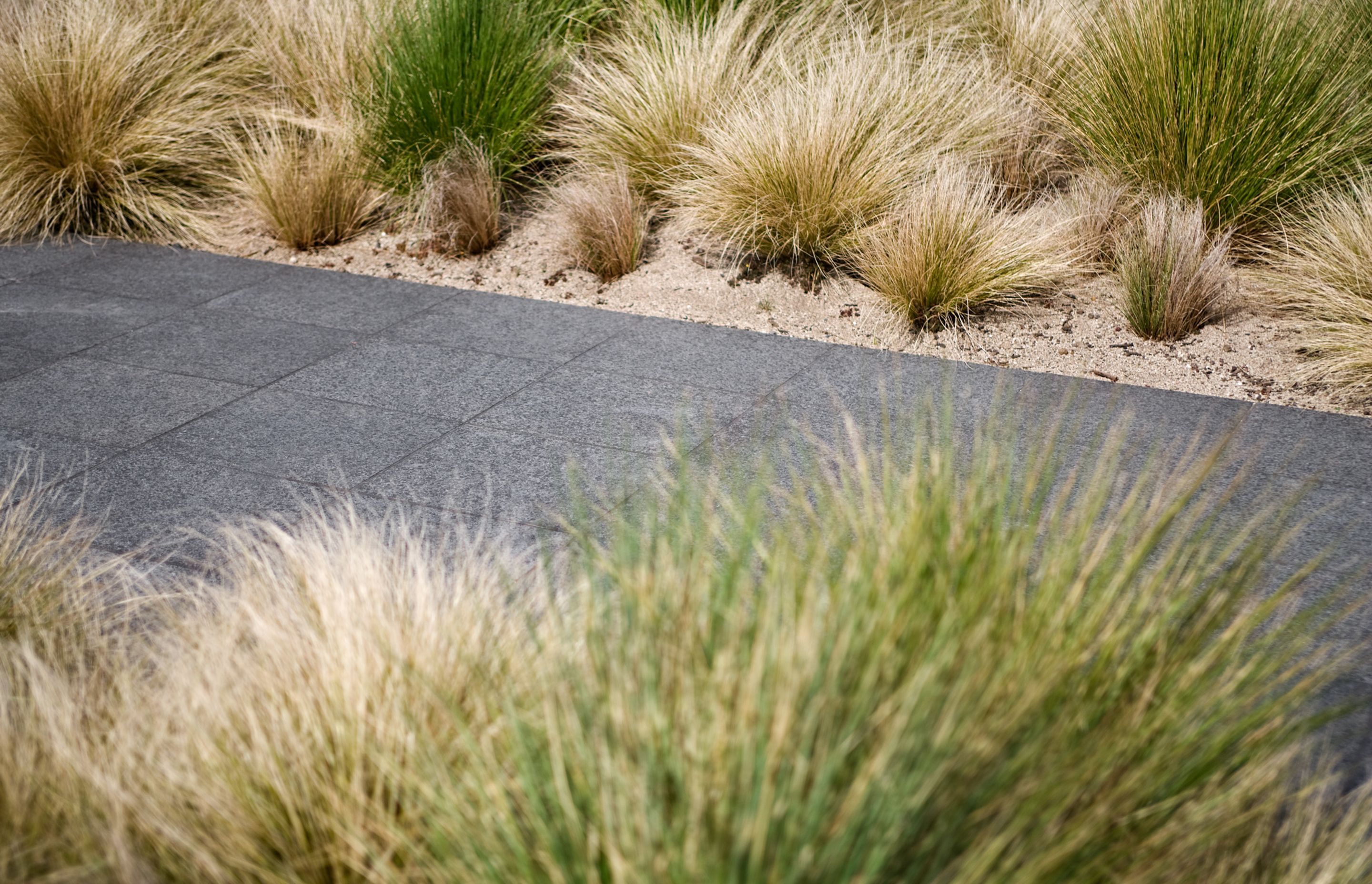 Planting Details