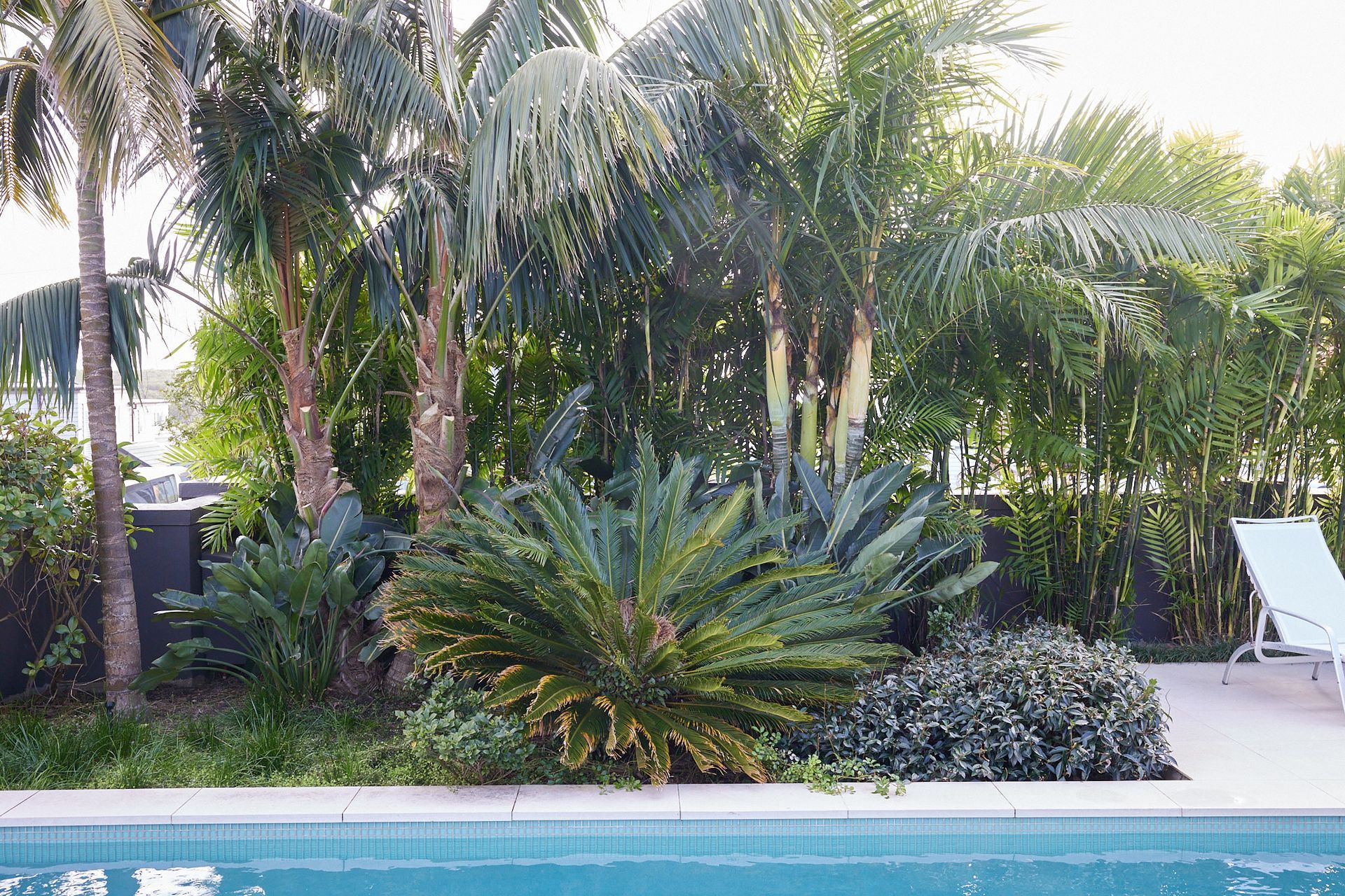 Mission Bay Paradise