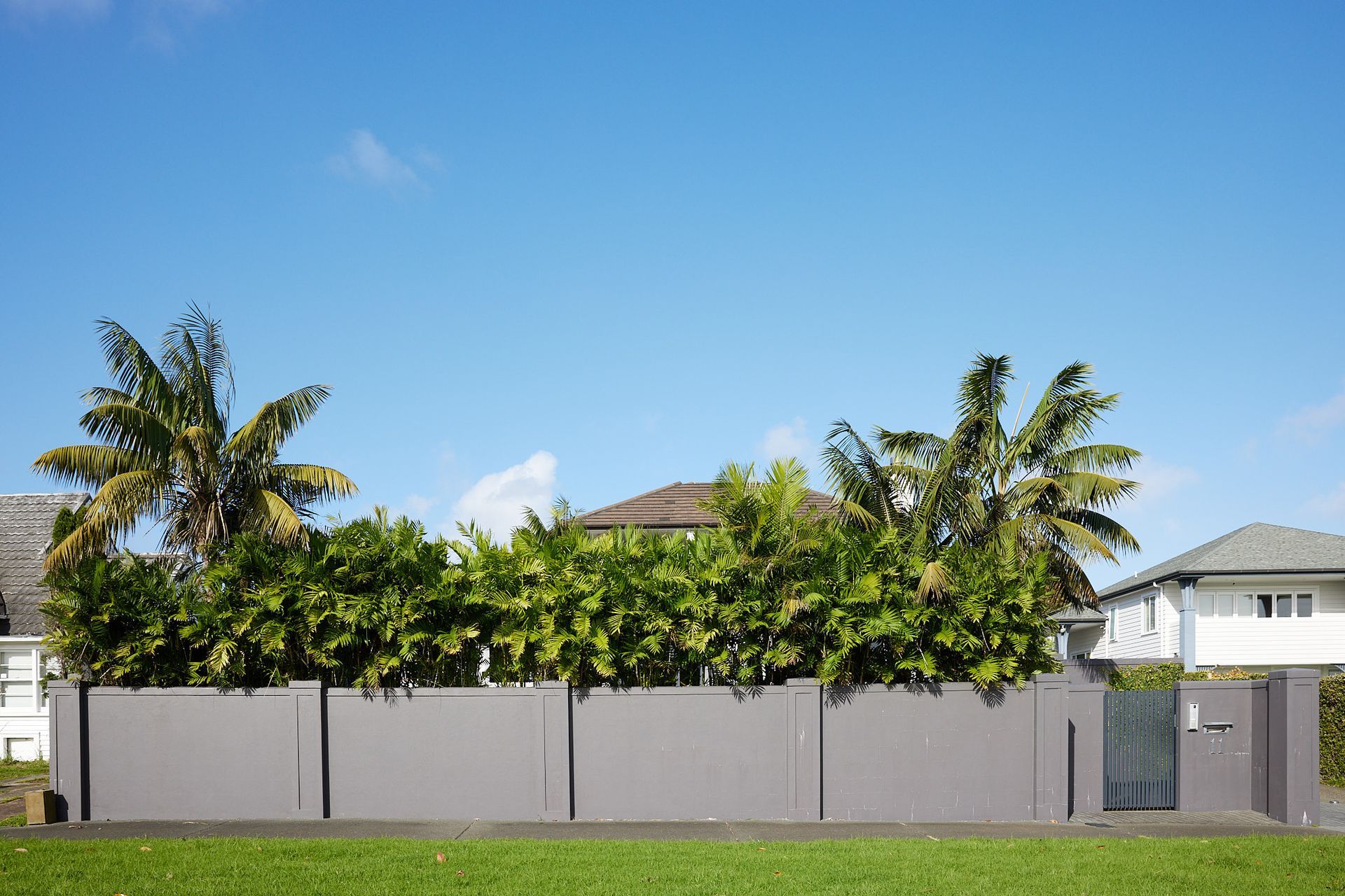 Mission Bay Paradise