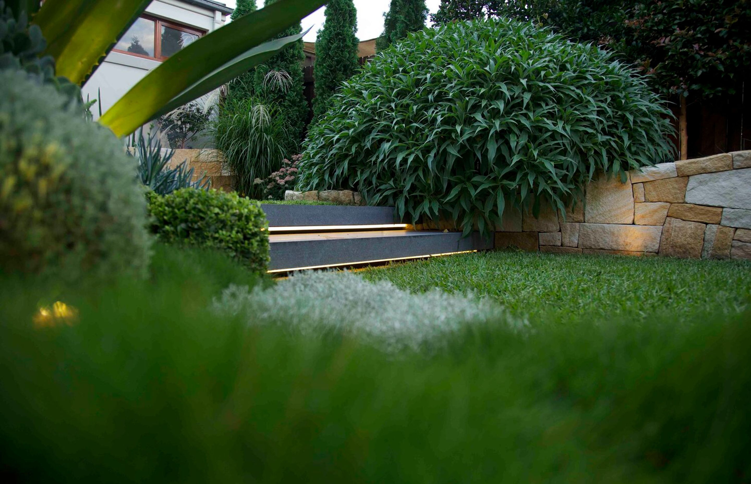 Family Garden