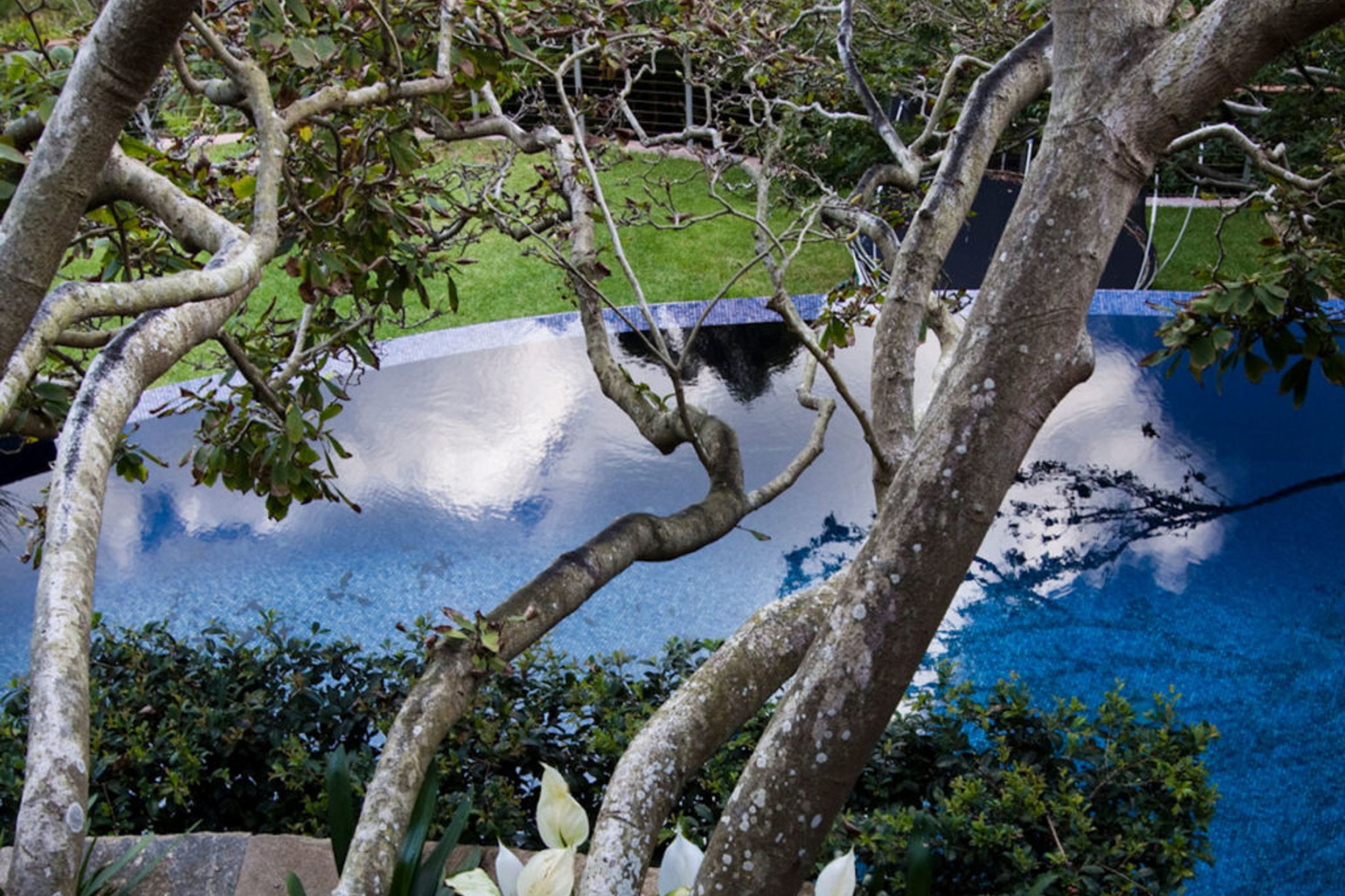 Mosman