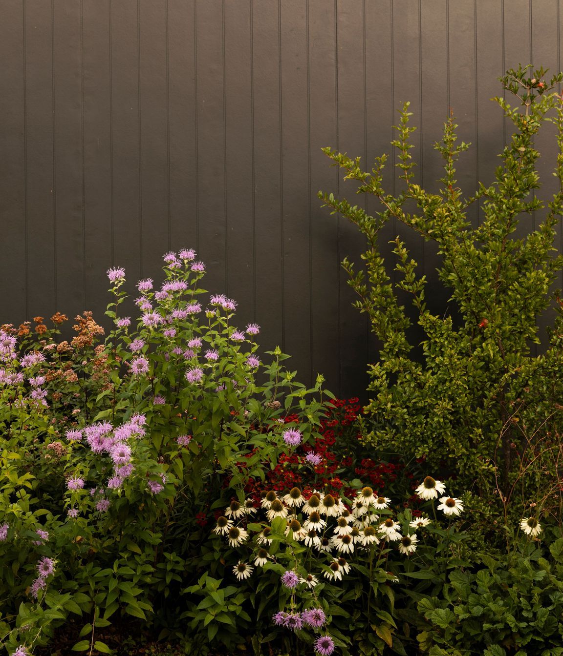 MurrayGrandview5580.jpg