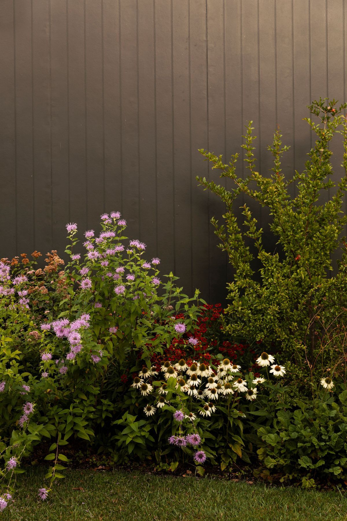 MurrayGrandview5580.jpg