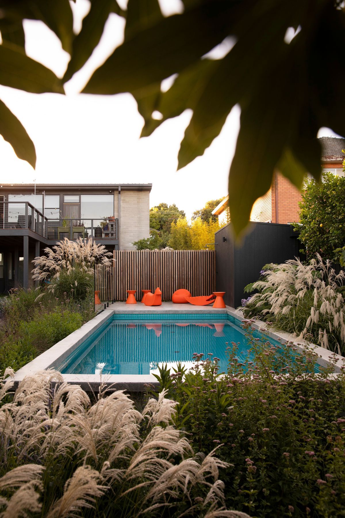 MurrayMountainView6404Gemmola-copy.jpg