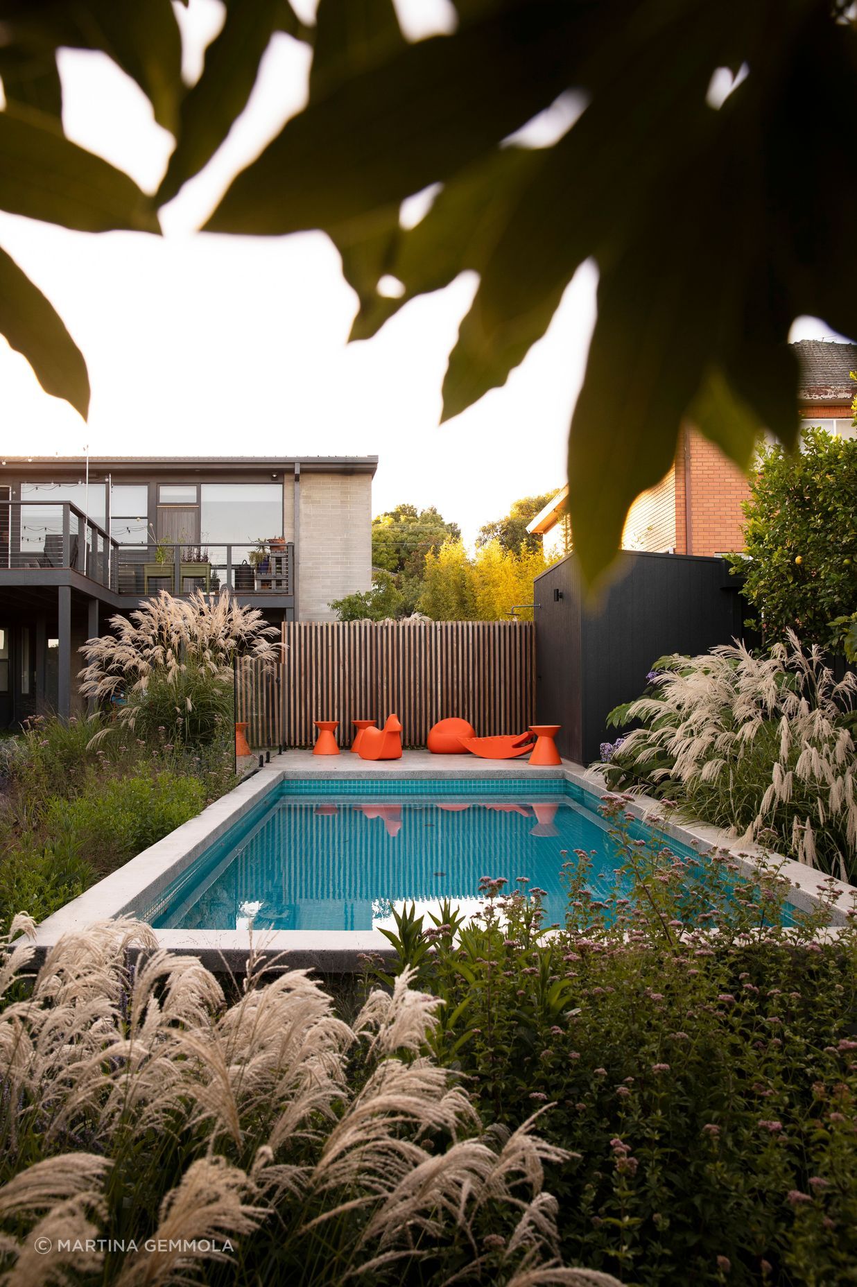 MurrayMountainView6404Gemmola-copy.jpg