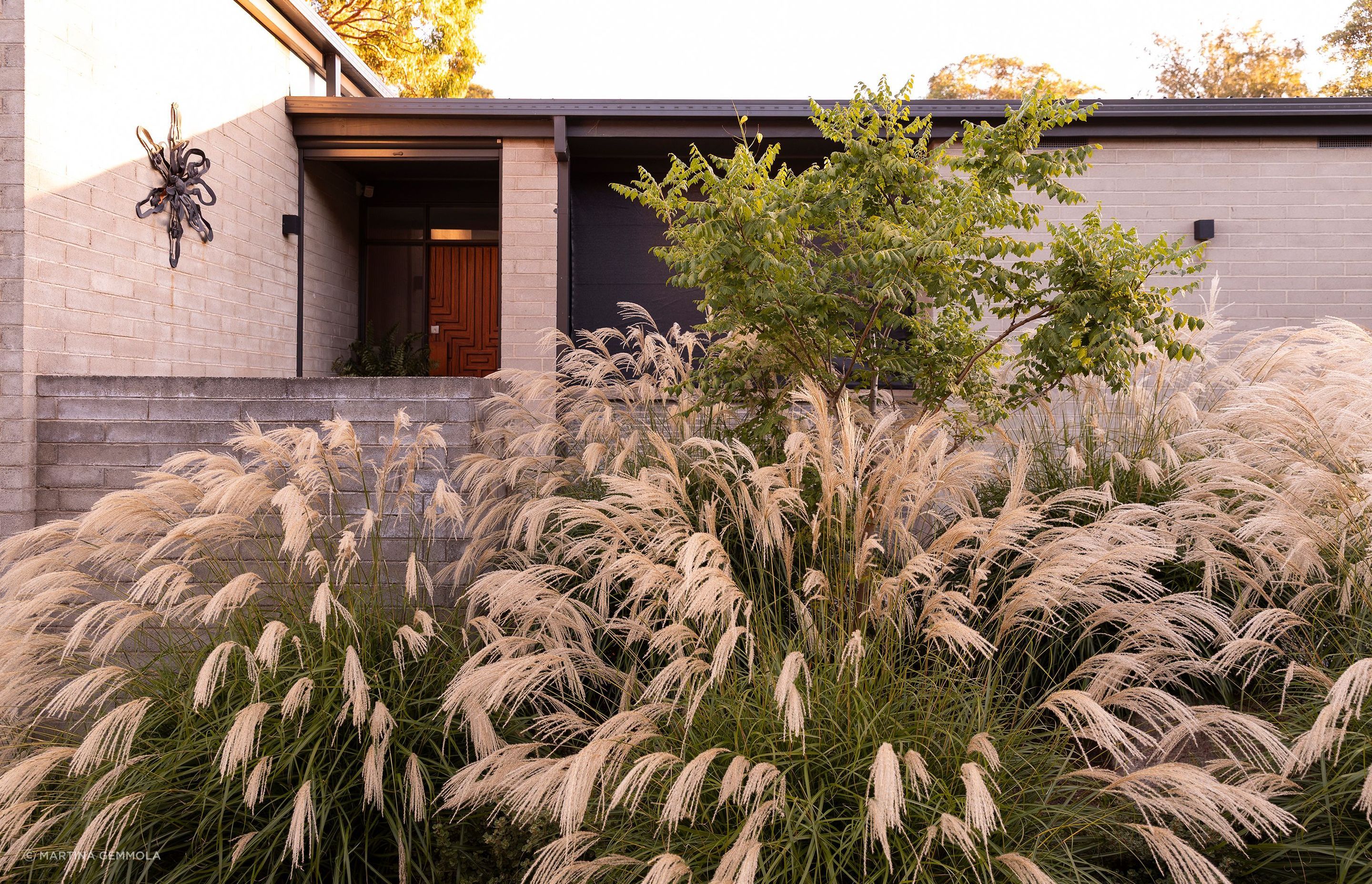 MurrayMountainView6458Gemmola.jpg