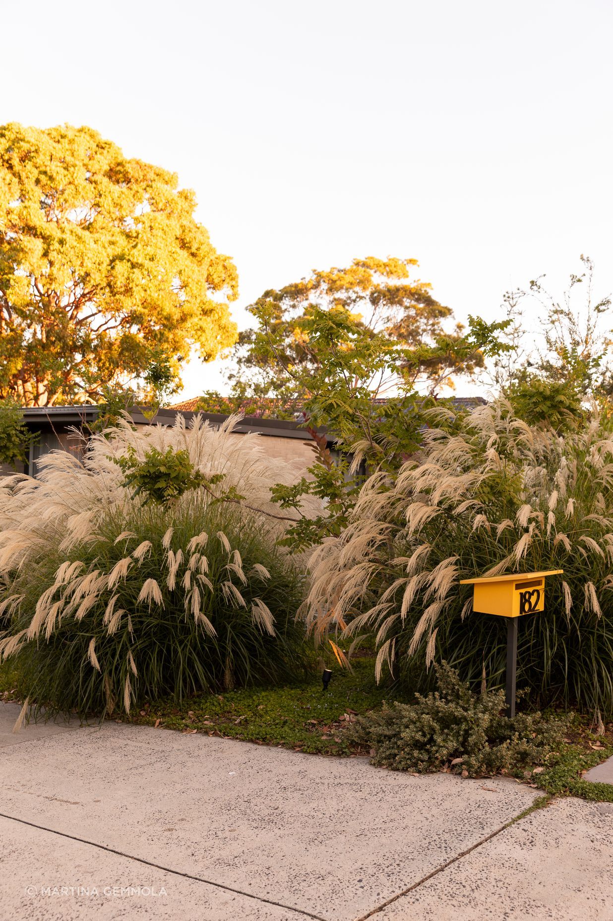 MurrayMountainView6474Gemmola.jpg