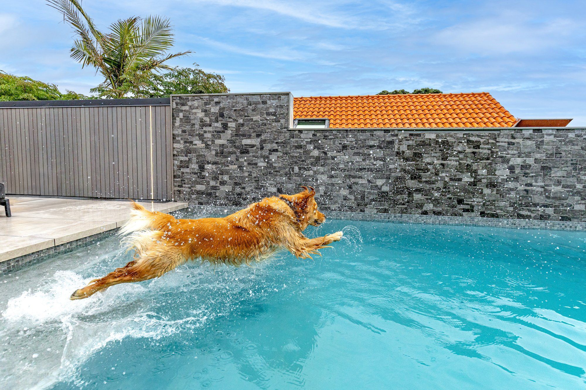 MurraysBayNewBuildDesignerPools9copy.jpg