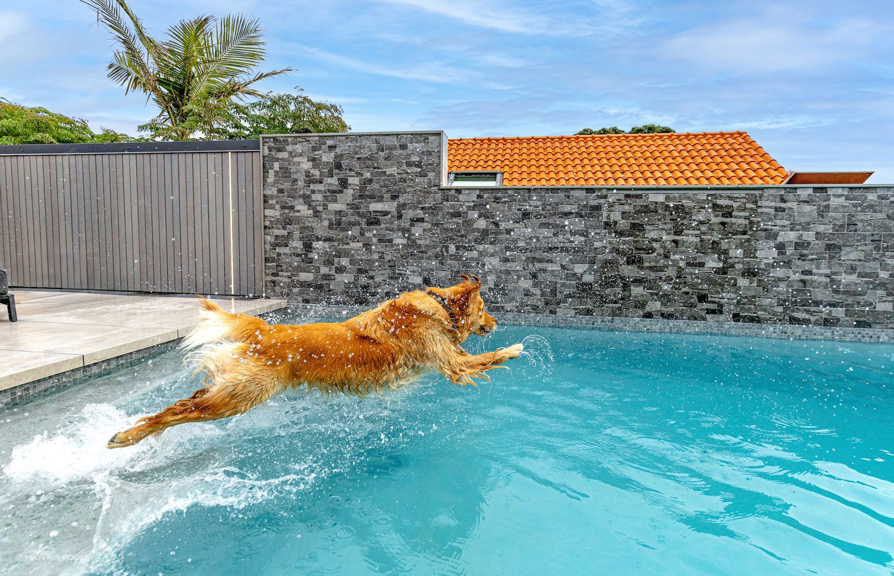 MurraysBayNewBuildDesignerPools9copy.jpg