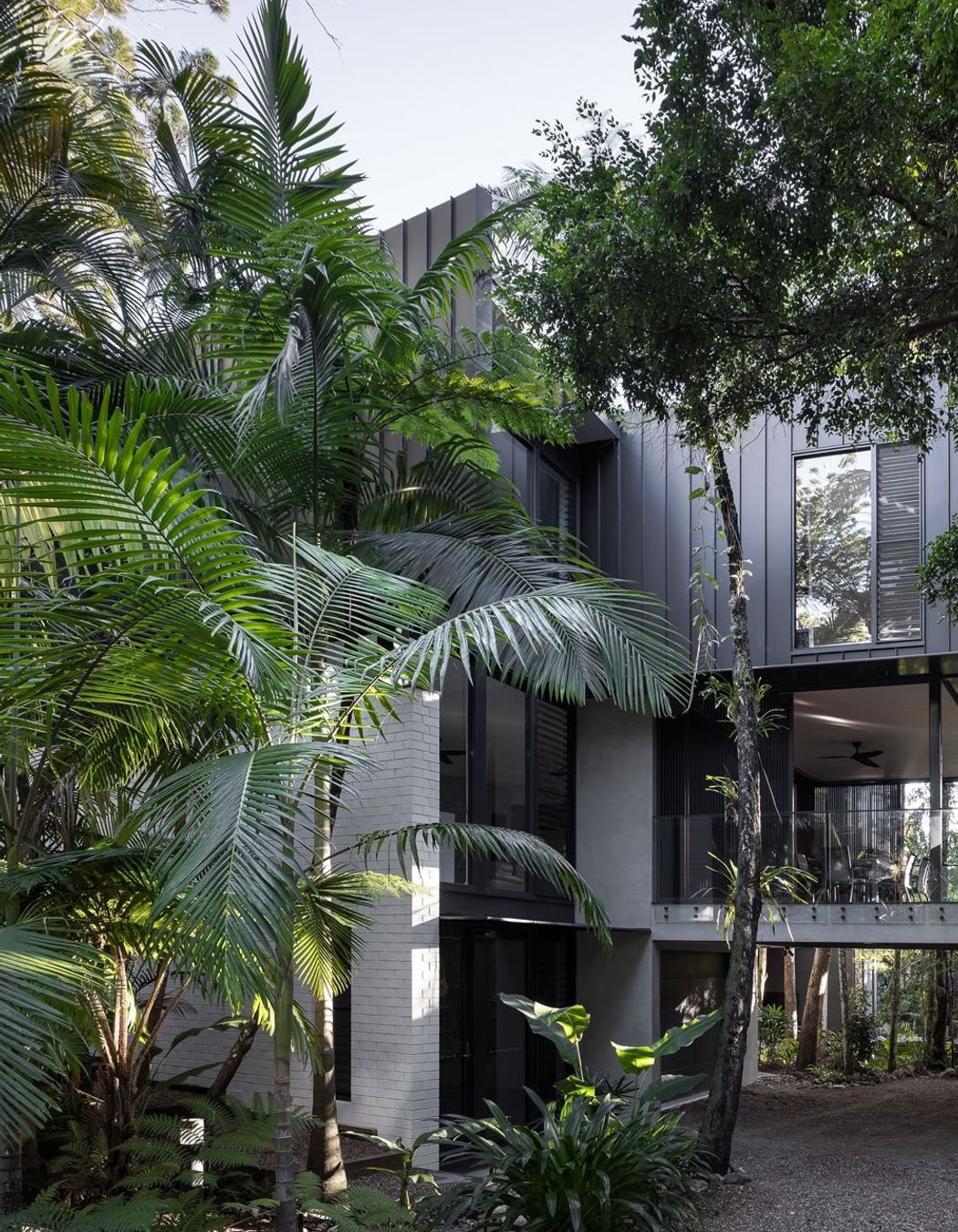 Noosa: QLD - Residential