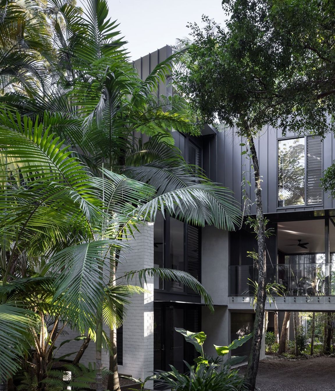 Noosa: QLD - Residential