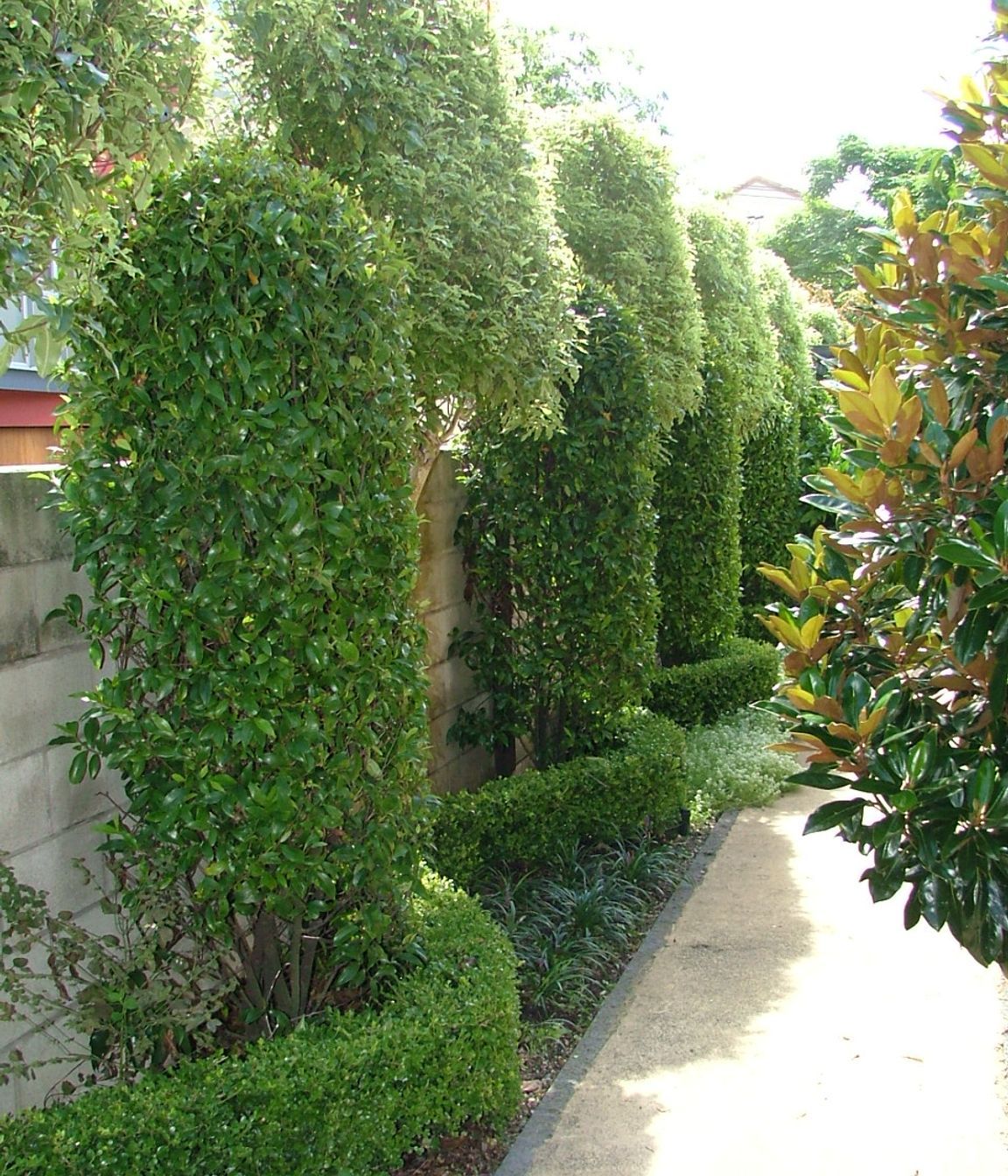 Parnell, Auckland