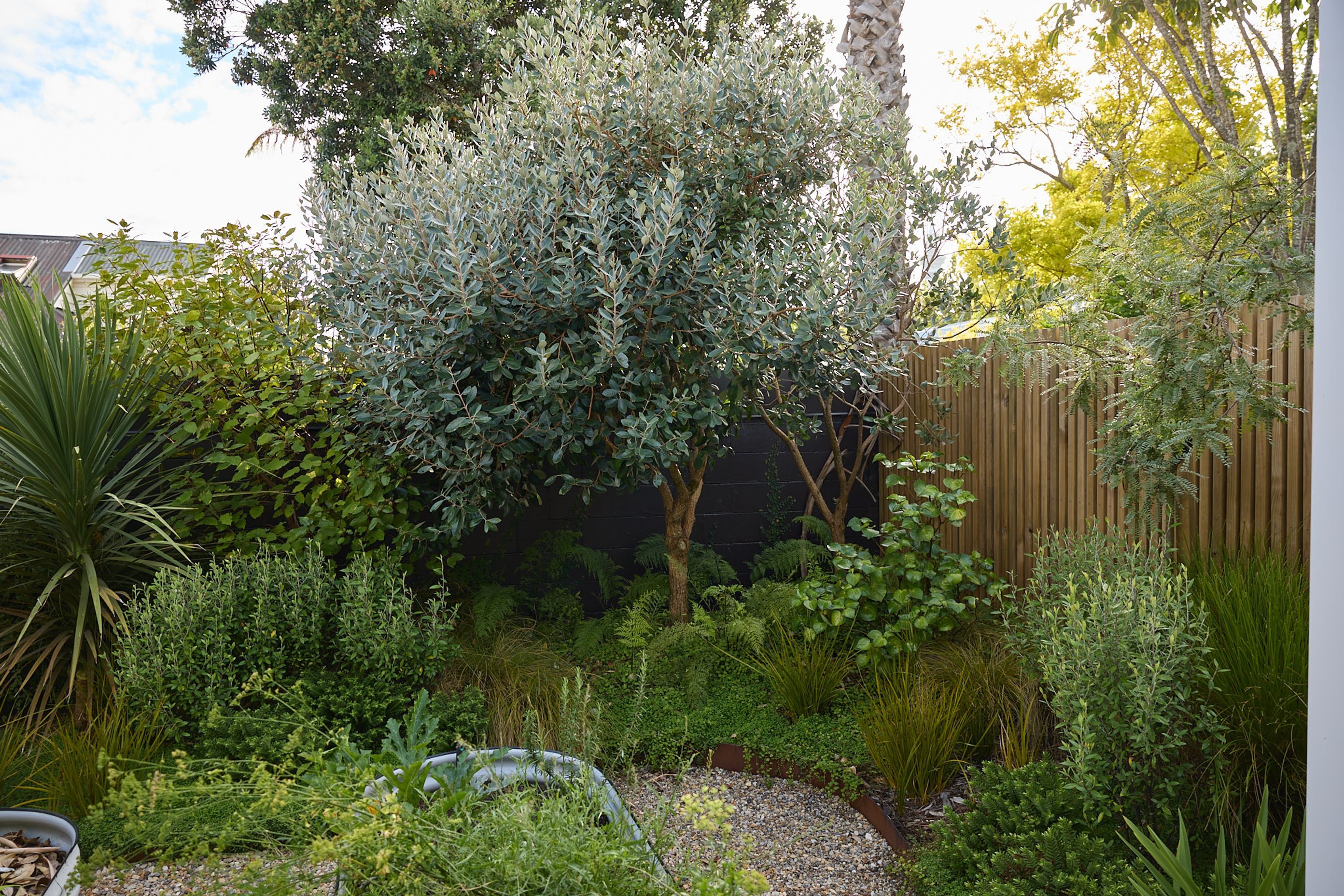 Ponsonby Pocket Garden