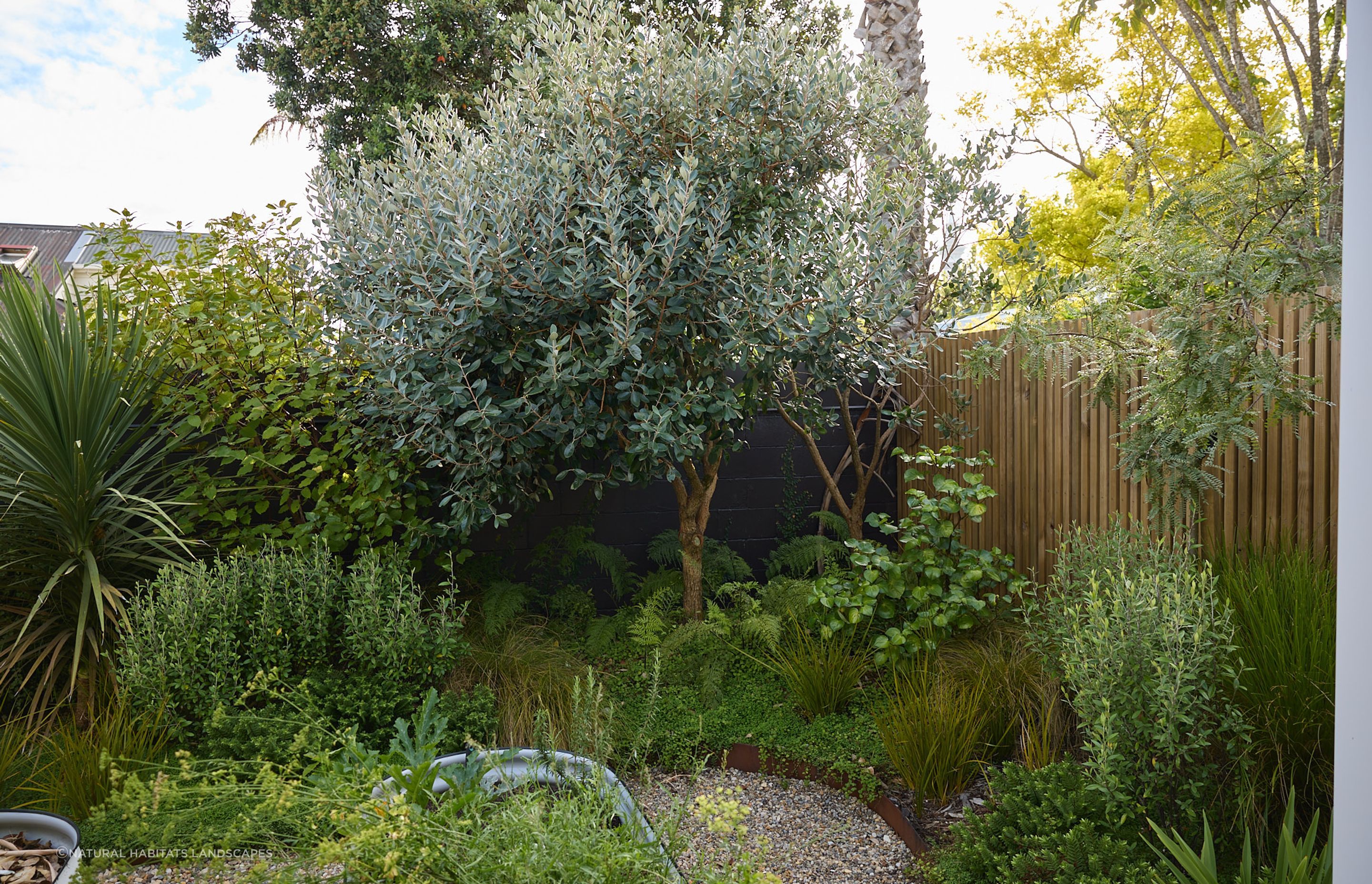 Ponsonby Pocket Garden