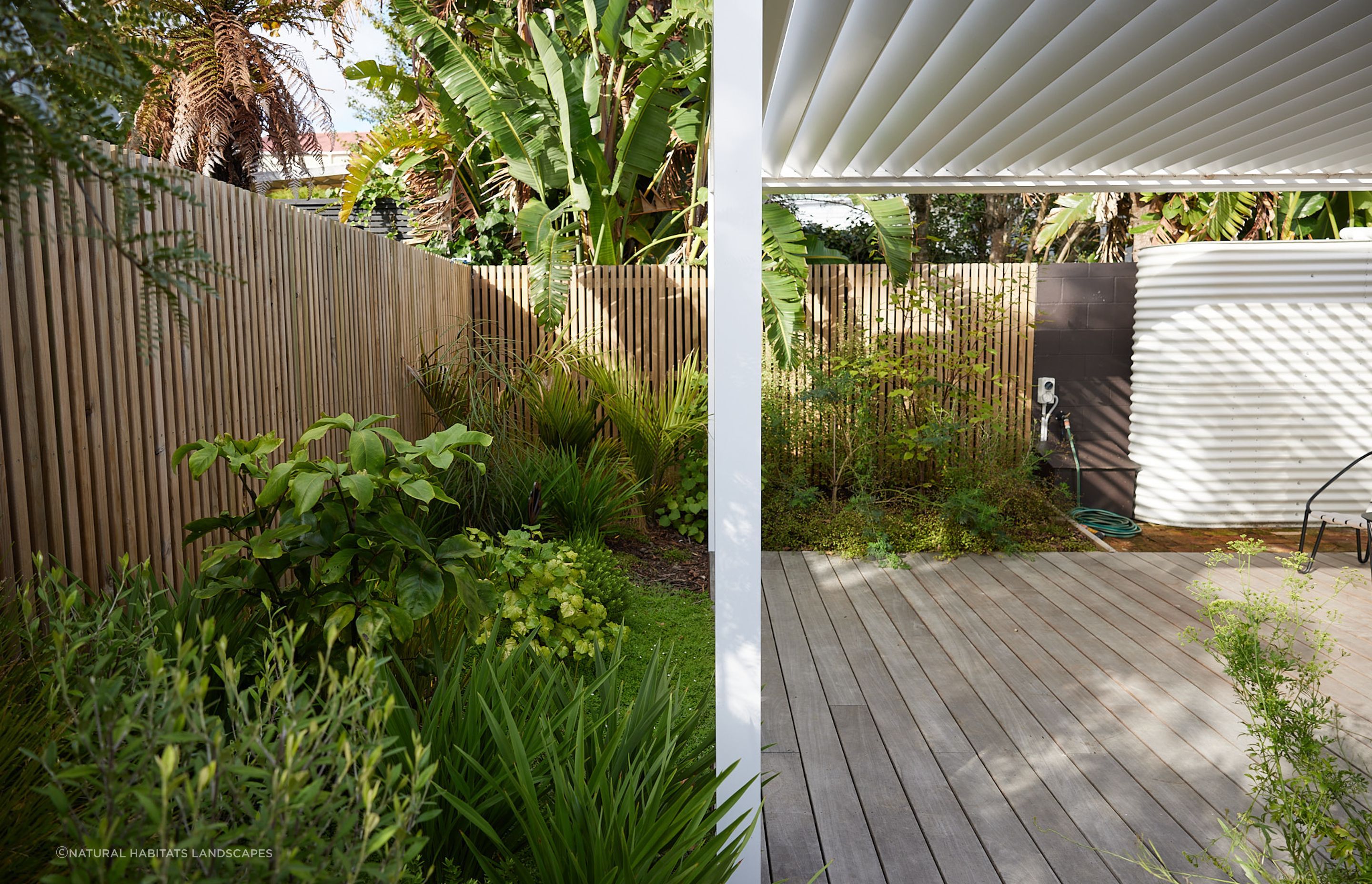 Ponsonby Pocket Garden