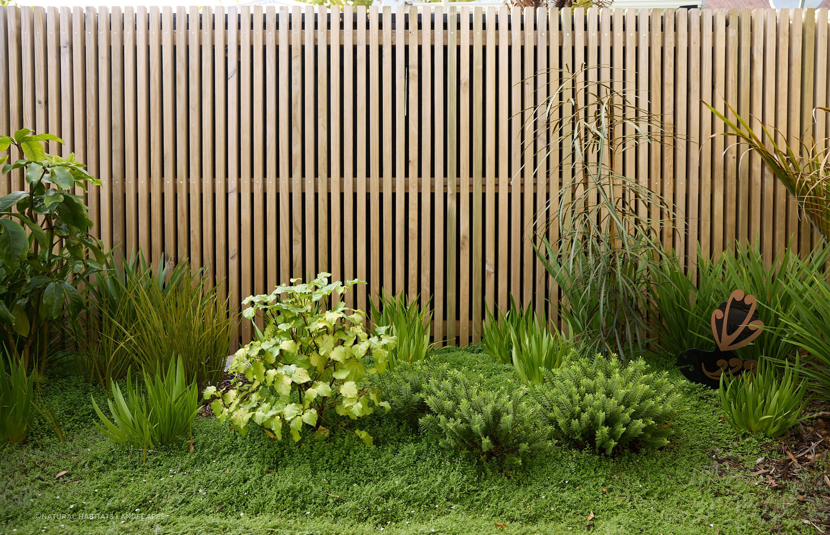 Ponsonby Pocket Garden