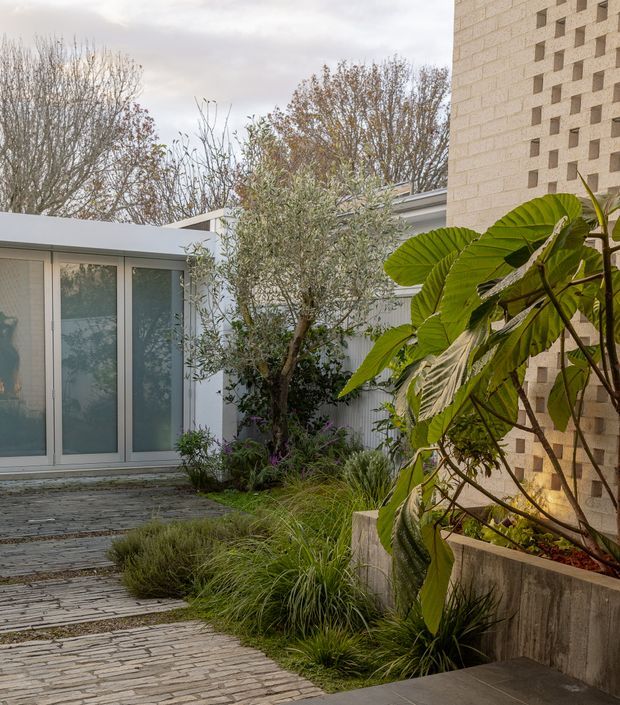 A landscaped residential courtyard with a paved walkway, layered ornamental grasses and leafy planting, a pale rendered low building with tall frosted-glass doors, and a distinctive perforated light-brick wall. The scene has a contemporary garden design and muted natural tones under overcast light.