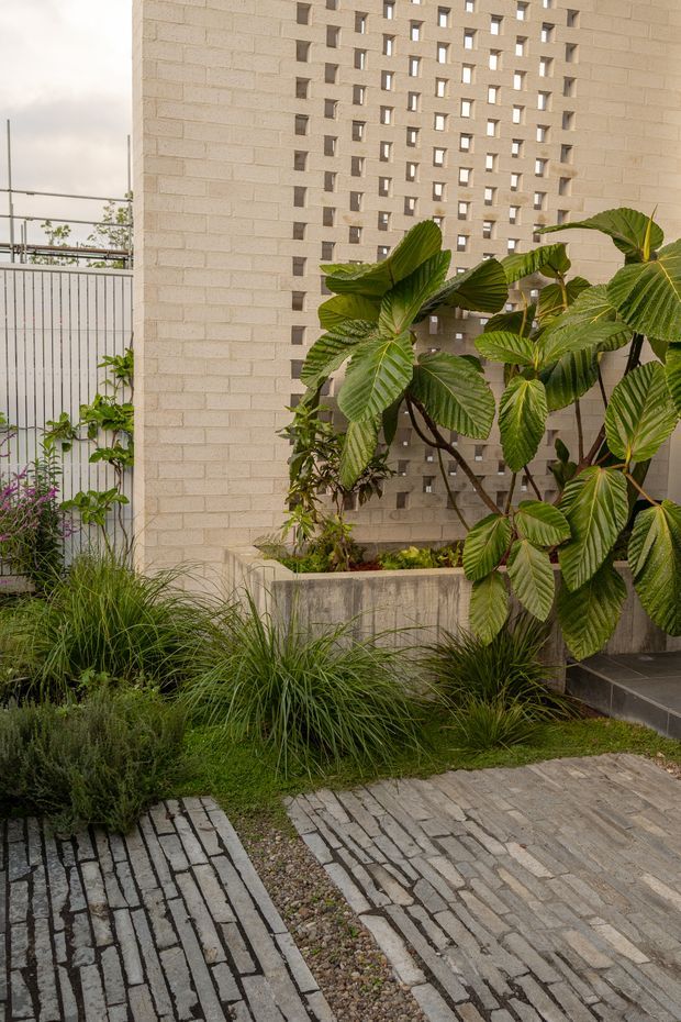 A landscaped courtyard or garden entry with a pale brick masonry wall featuring a decorative perforated breeze-block screen. Lush planting, ornamental grasses, climbing vines, and a raised concrete planter surround a paved path made from narrow irregular grey stone or concrete pavers. The scene has a restrained, natural contemporary character.
