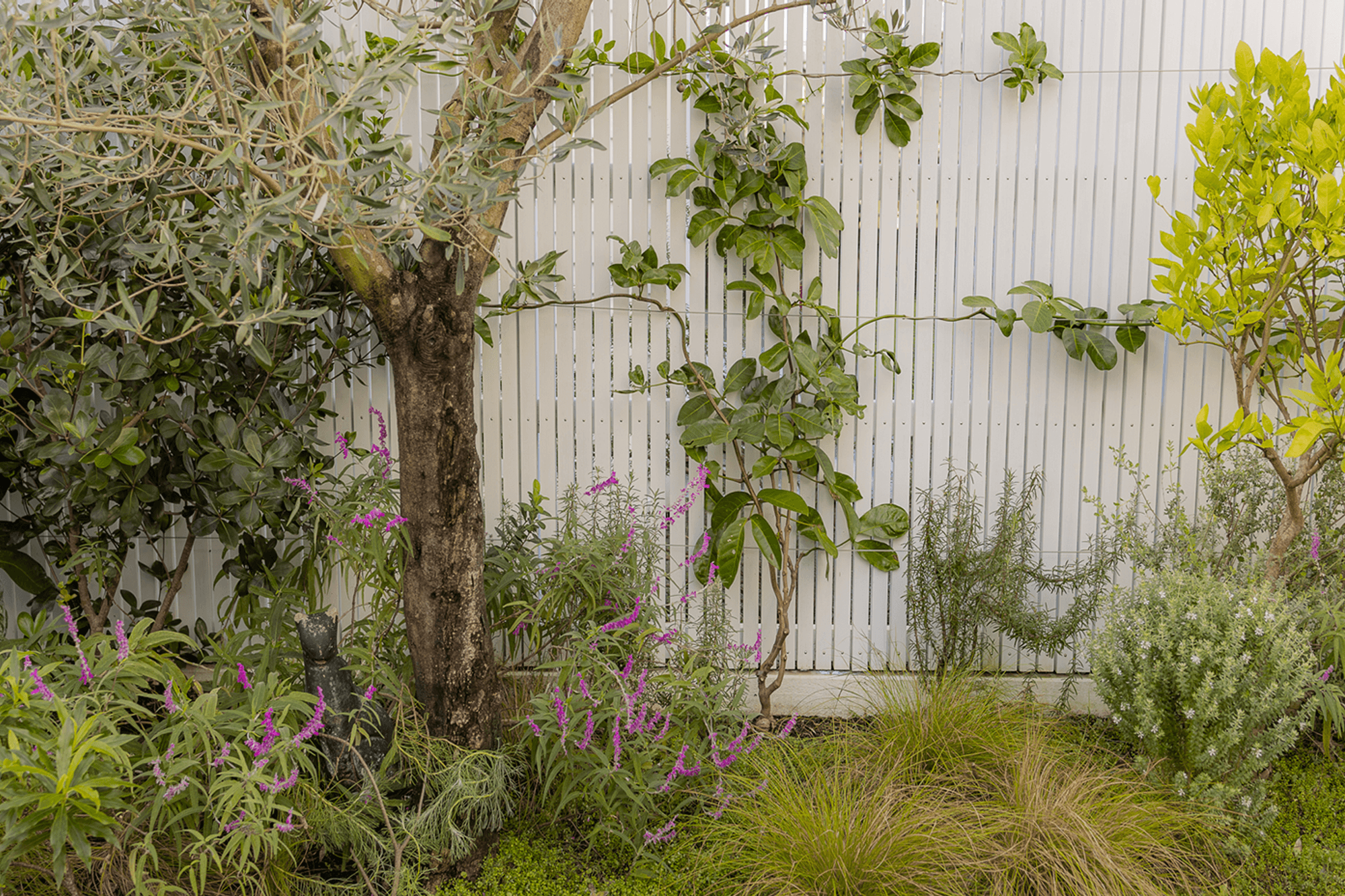 Natural-urban-courtyard-MrsSmith-Photography-5.png