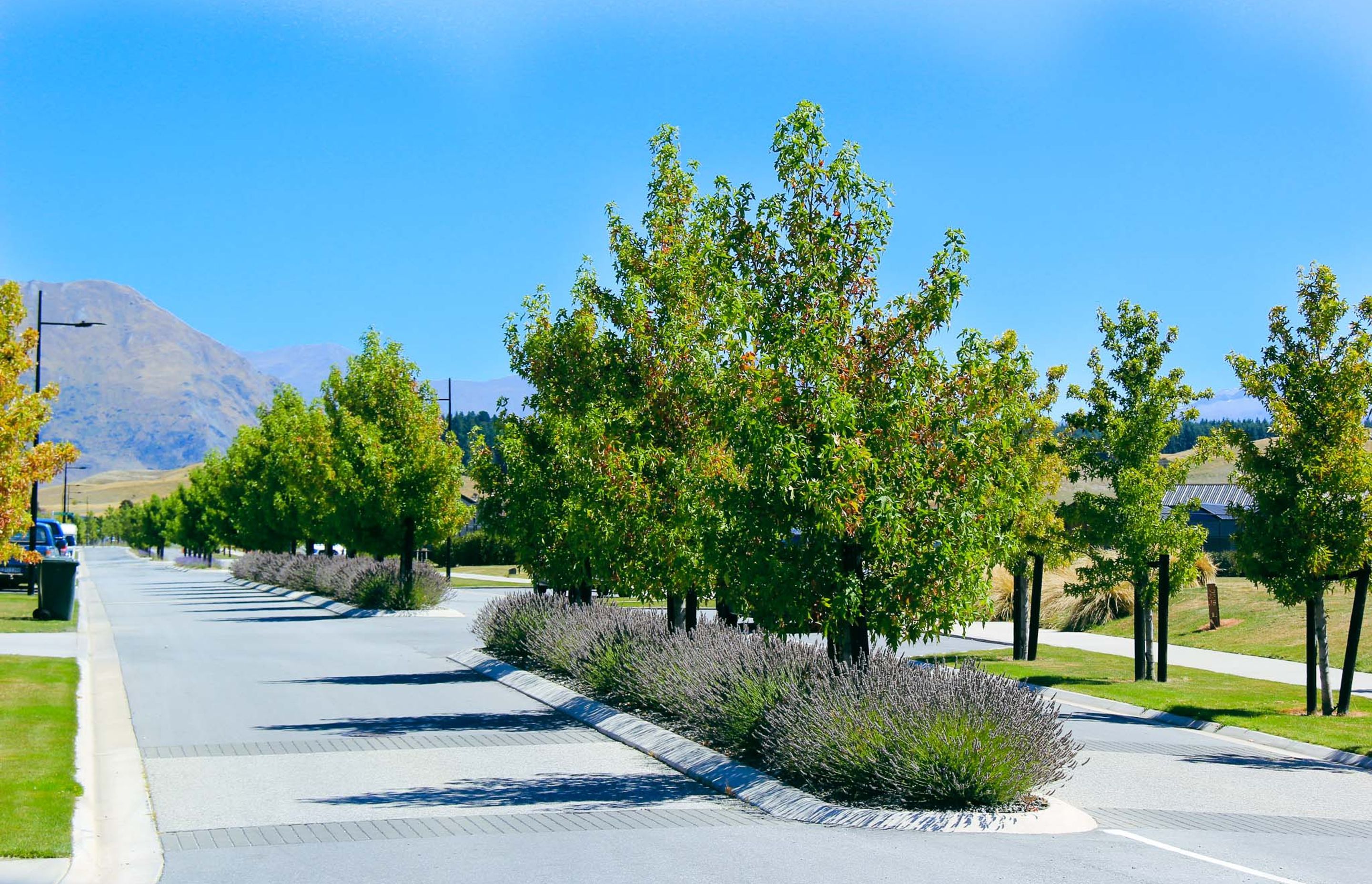 Northlake-Subdivision14.jpg