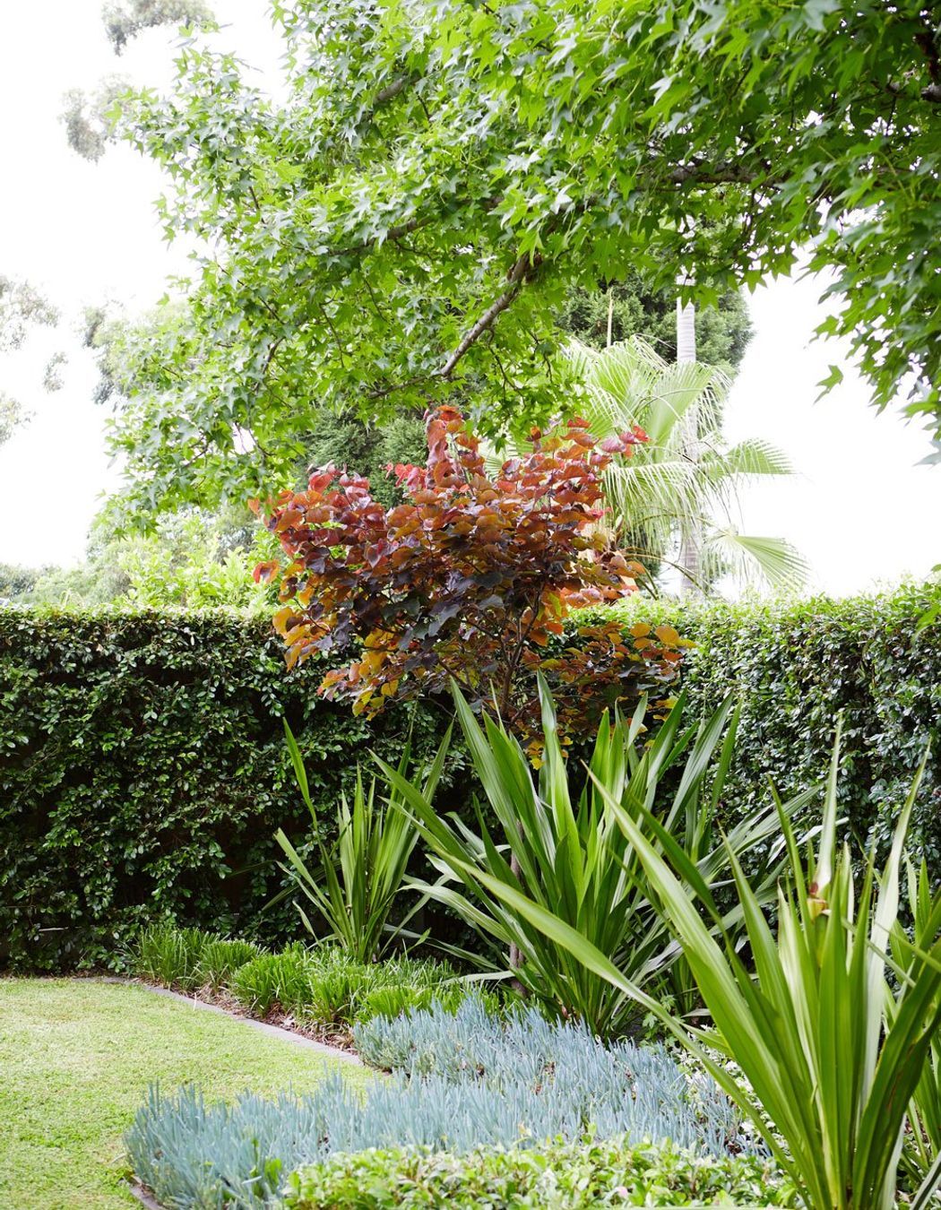 Oatlands # 2: NSW - Residential