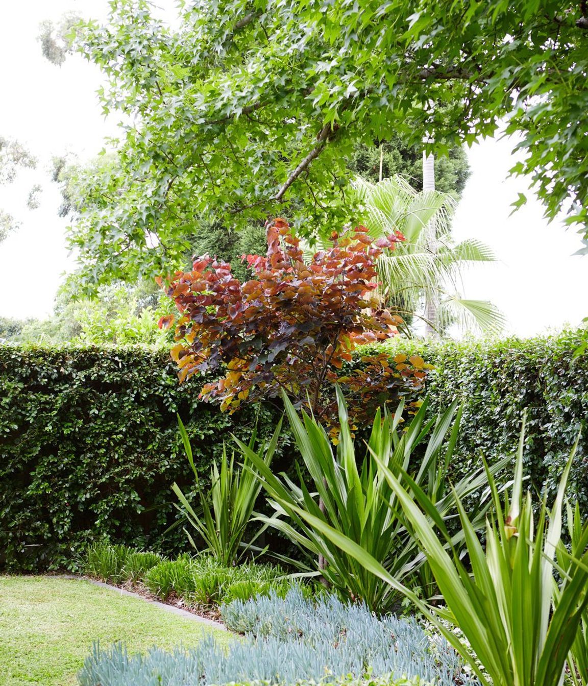 Oatlands # 2: NSW - Residential