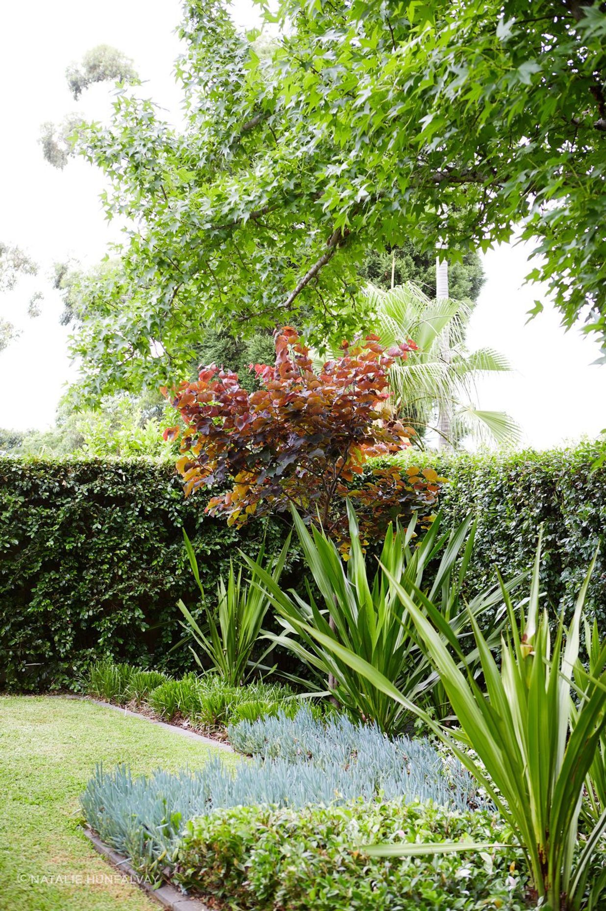 Oatlands # 2: NSW - Residential