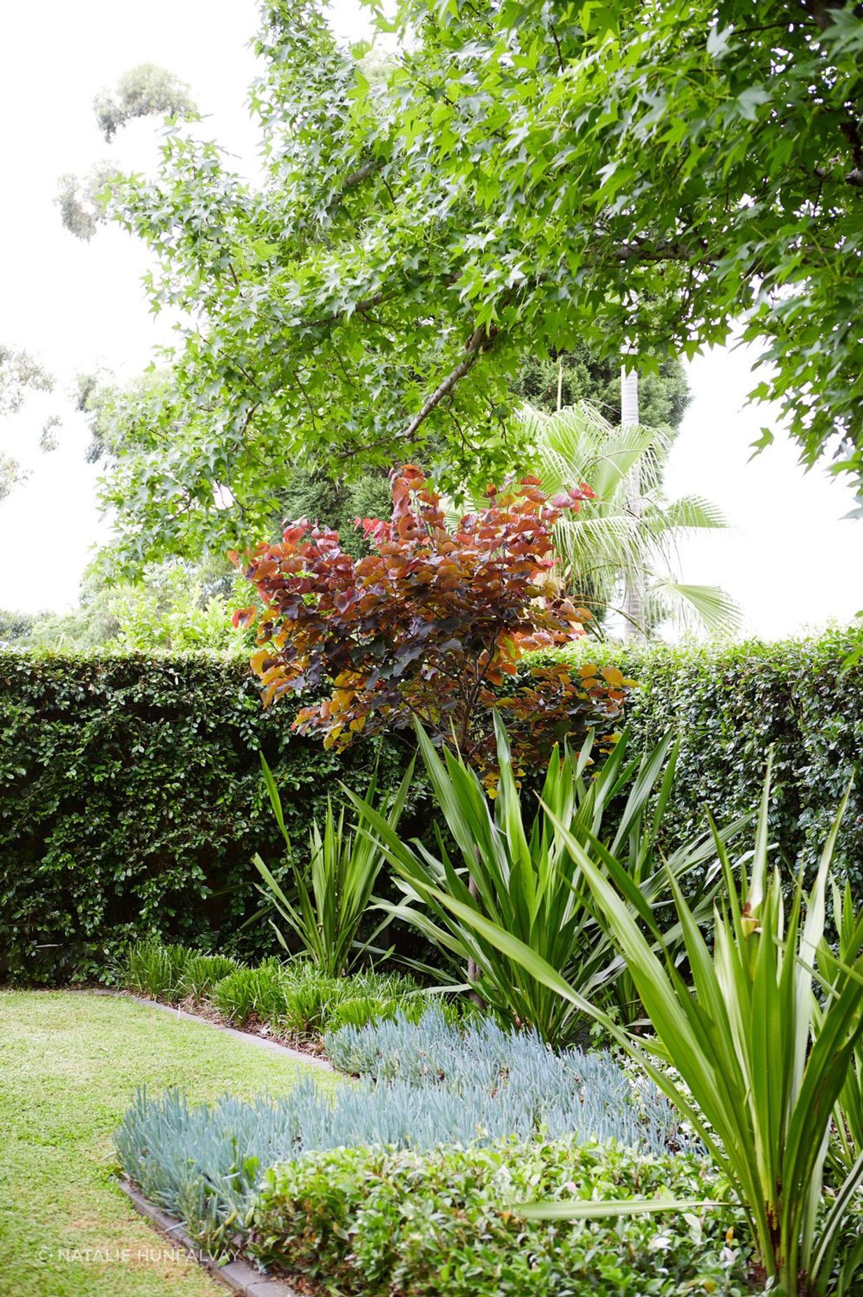 Oatlands # 2: NSW - Residential