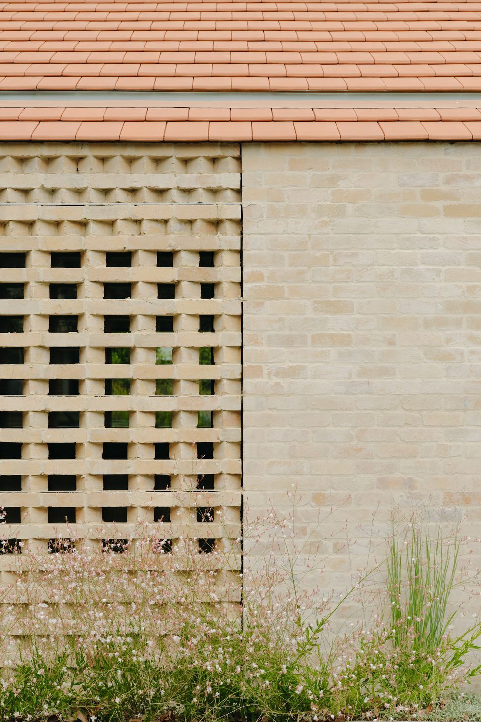 OLAVERHANSLOPE287WEB.jpg