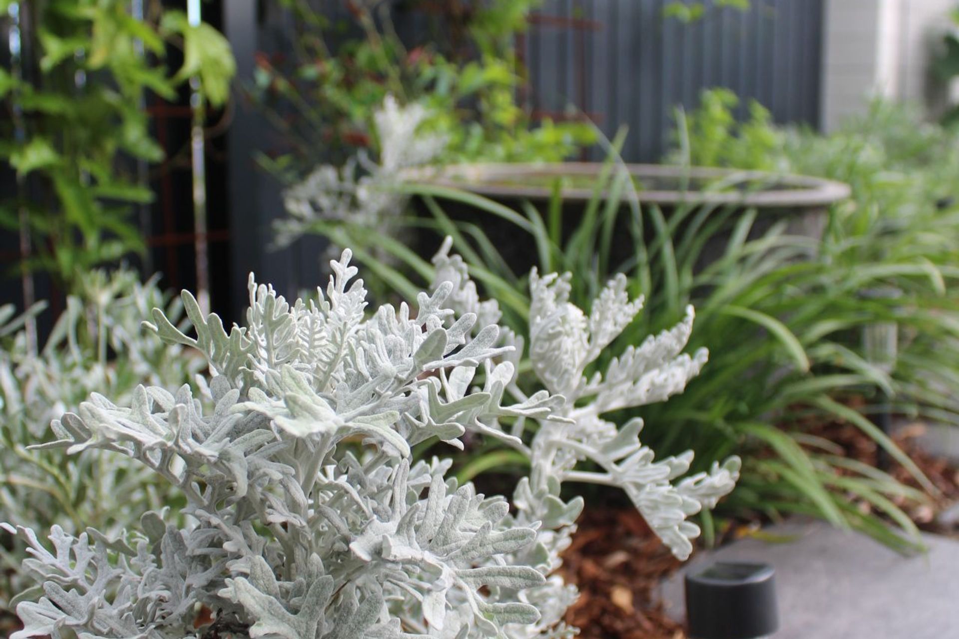 ##PALMVIEW Residence